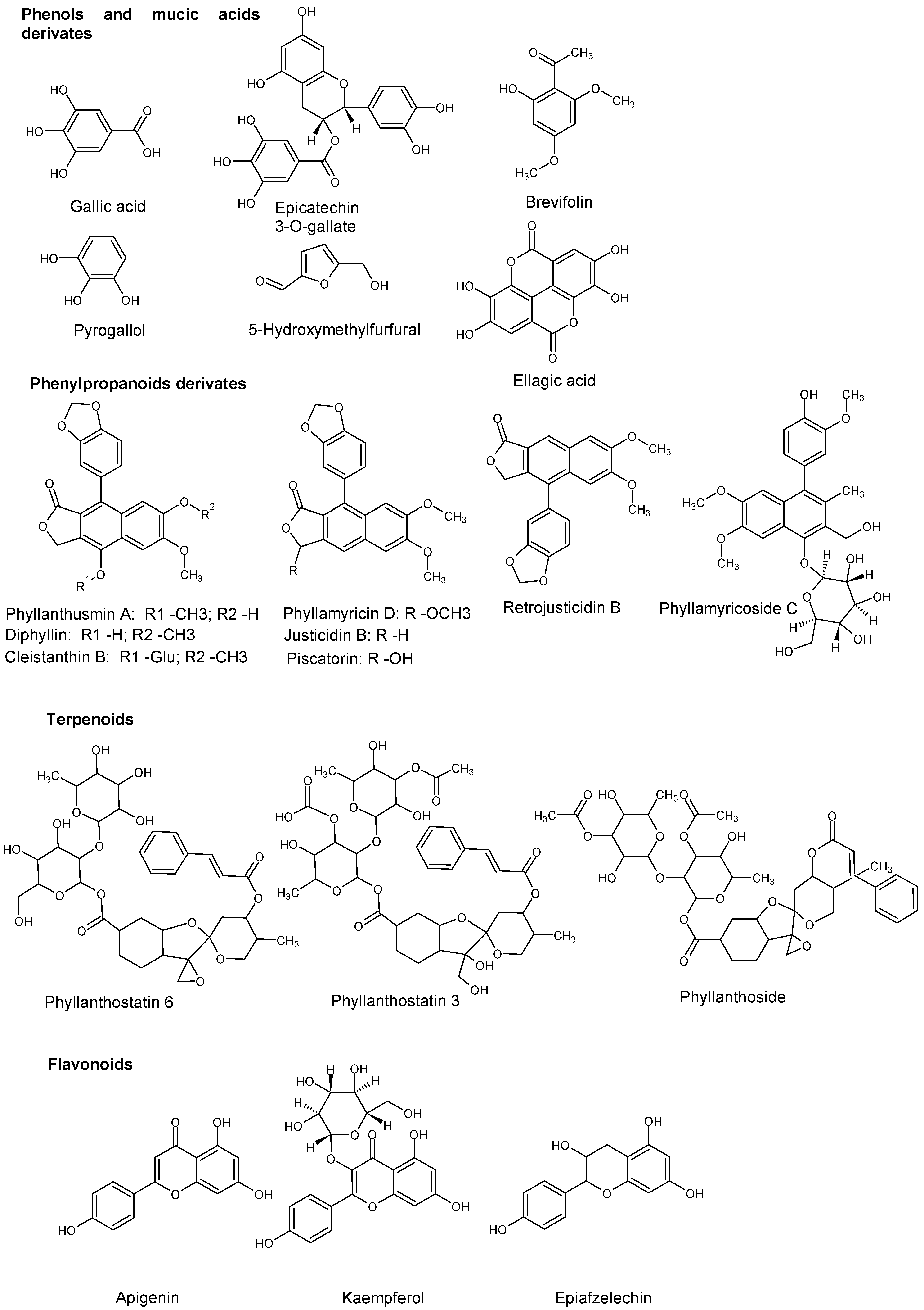 Molecules 29 00080 g005