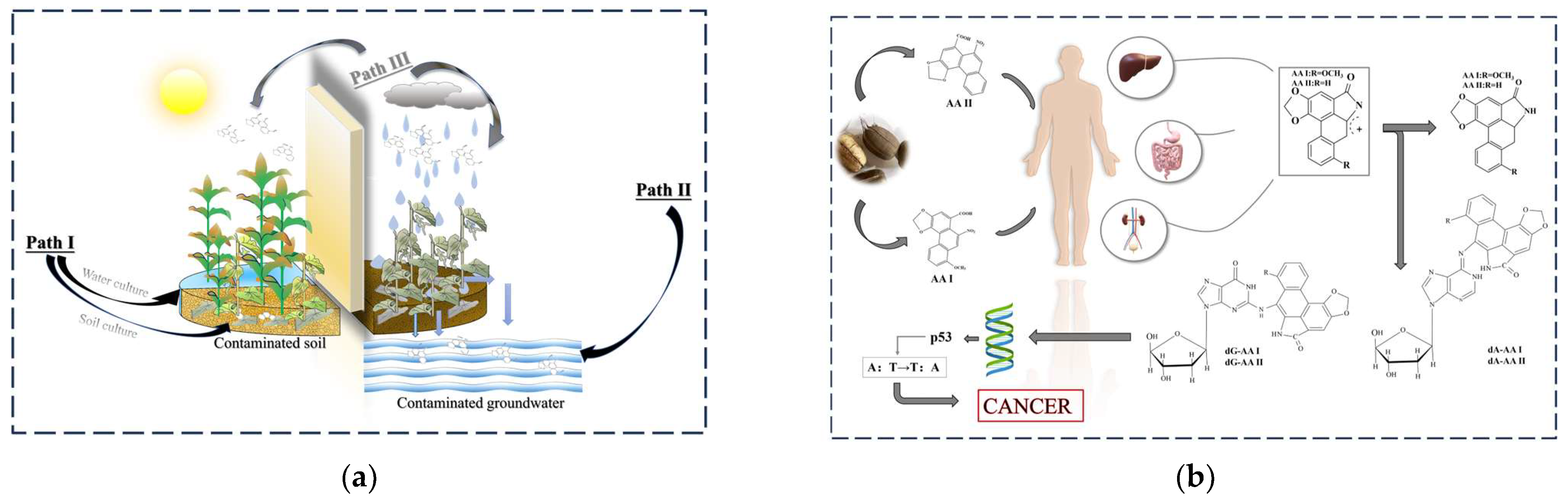 Molecules 29 00081 g001