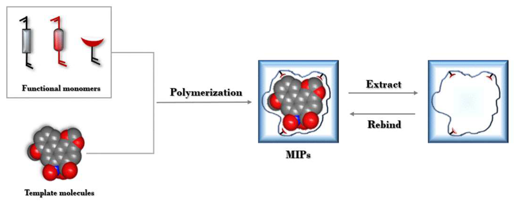 Molecules 29 00081 g004