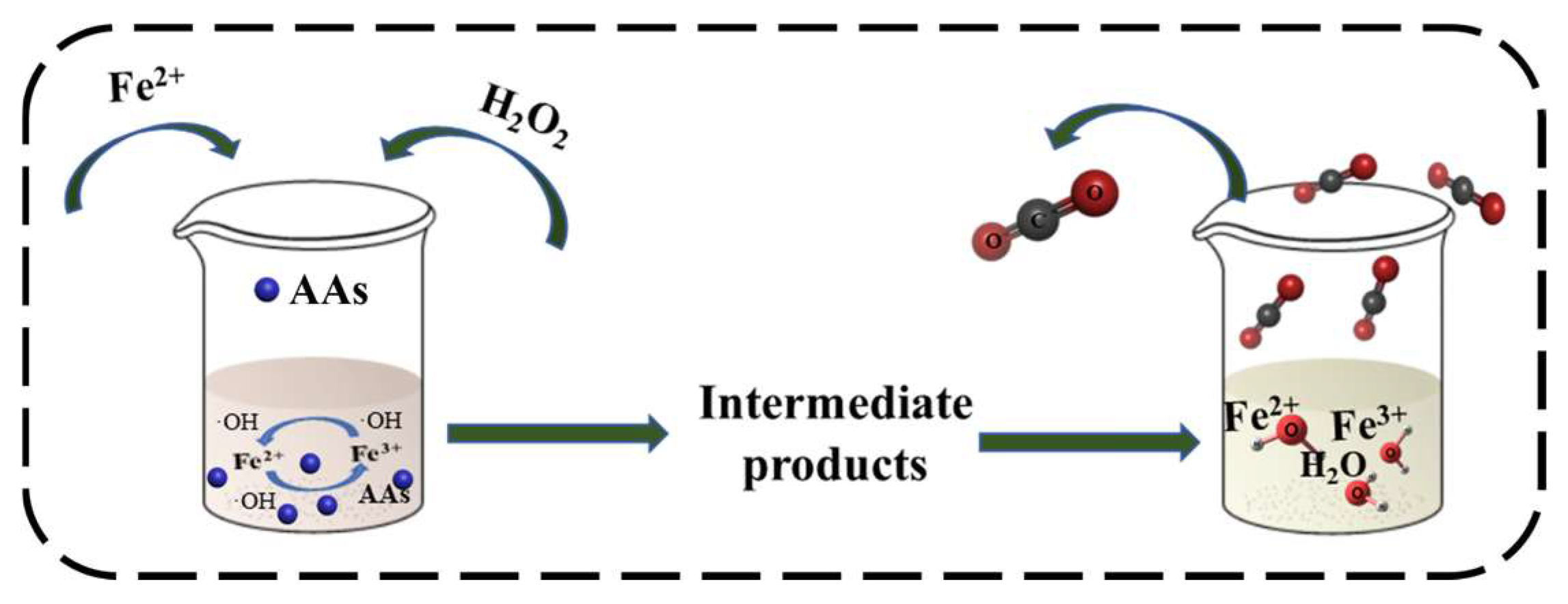 Molecules 29 00081 g005