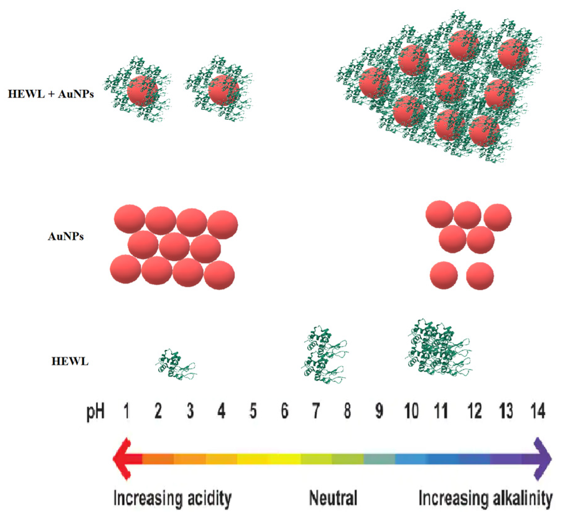 Molecules 29 00082 g008