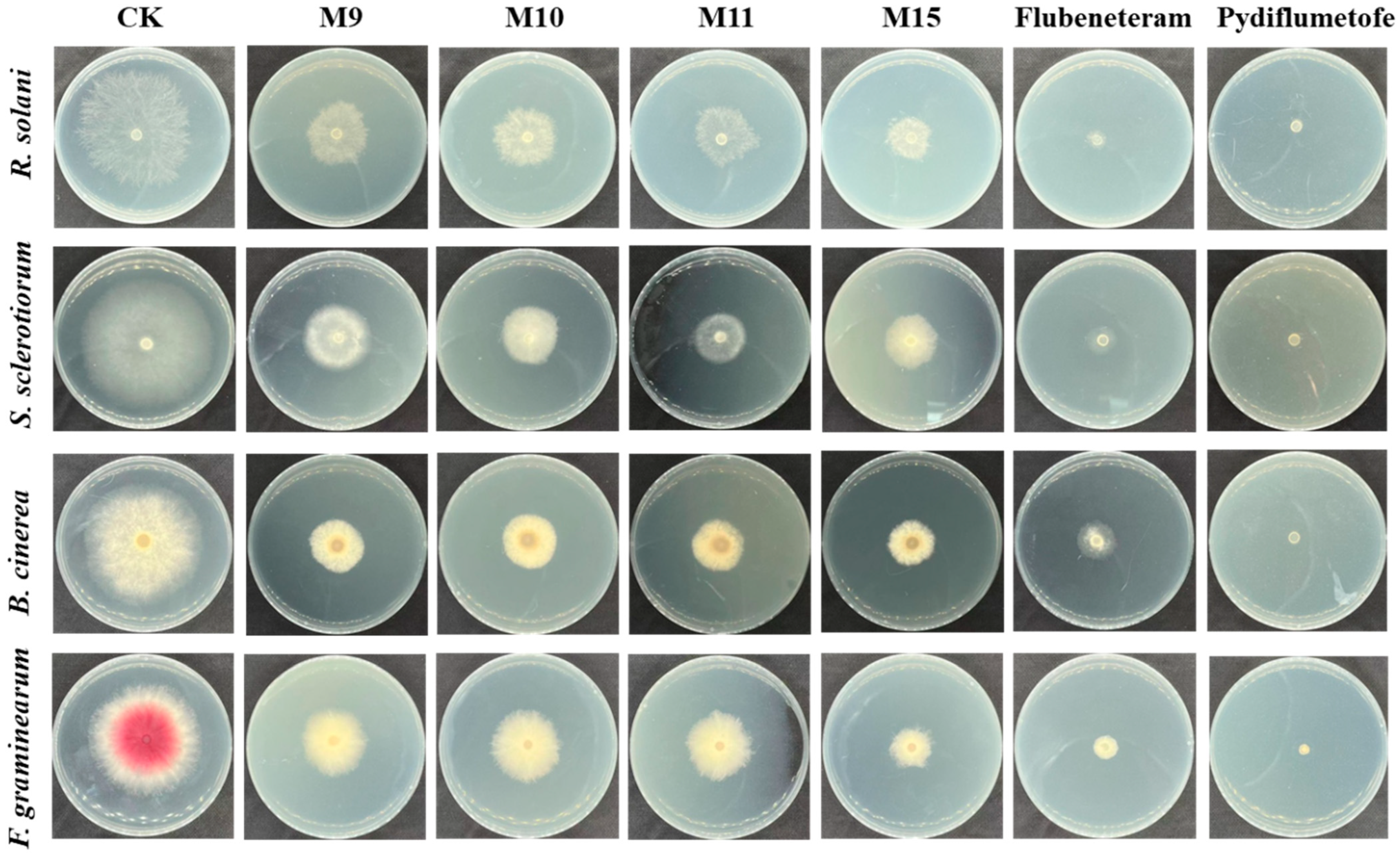 Molecules 29 00083 g003