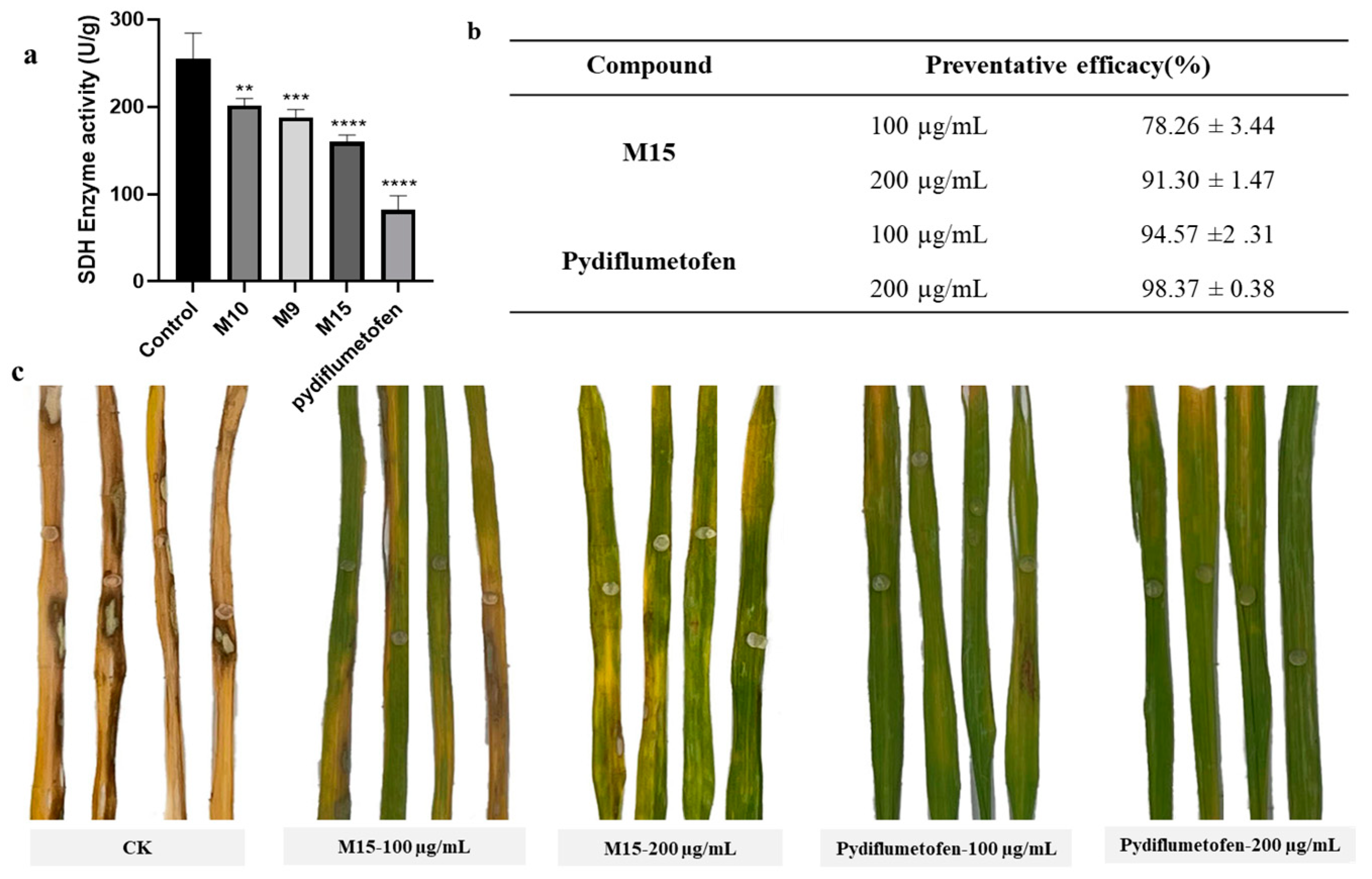 Molecules 29 00083 g006