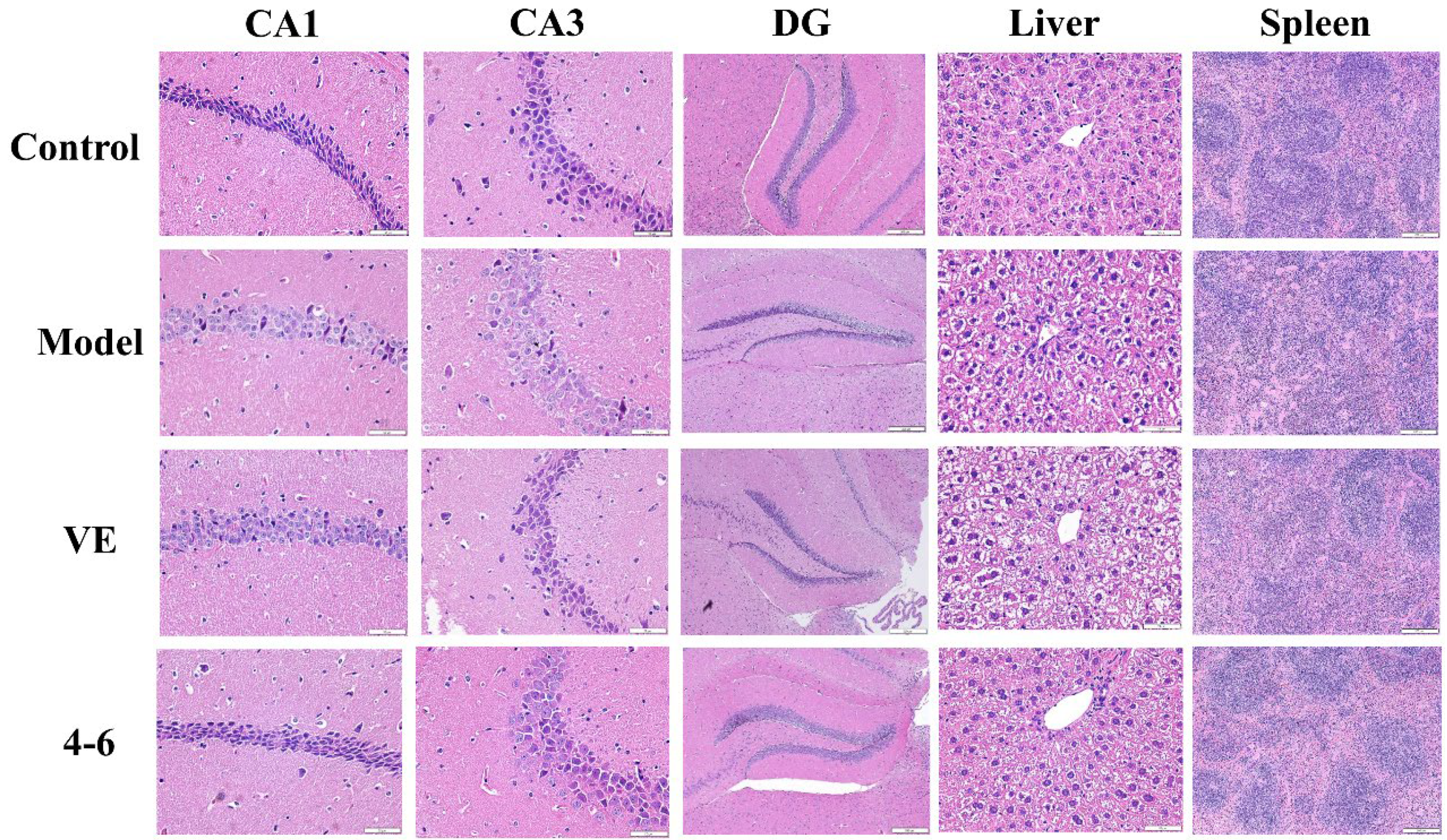 Molecules 29 00086 g012