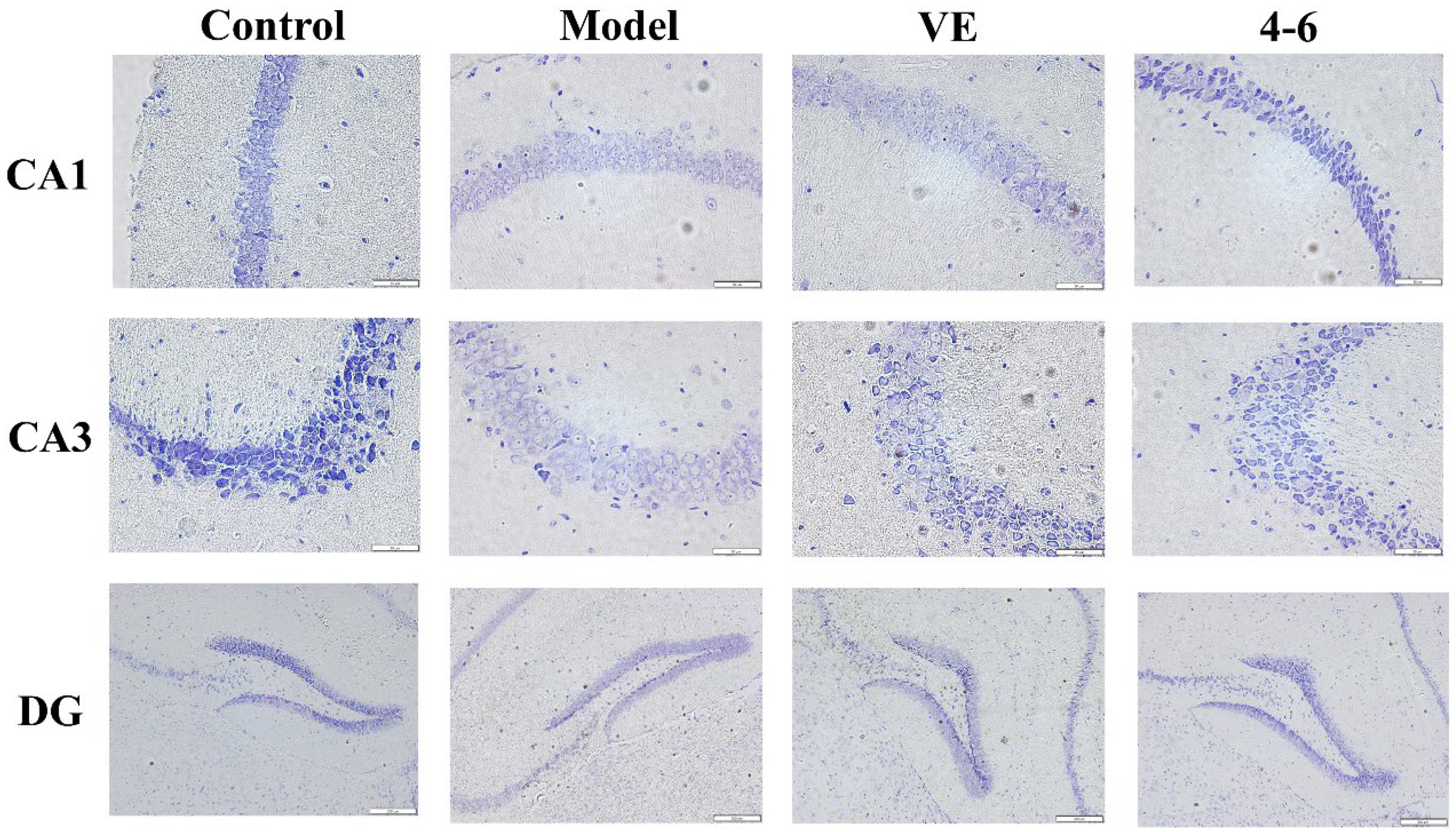 Molecules 29 00086 g013