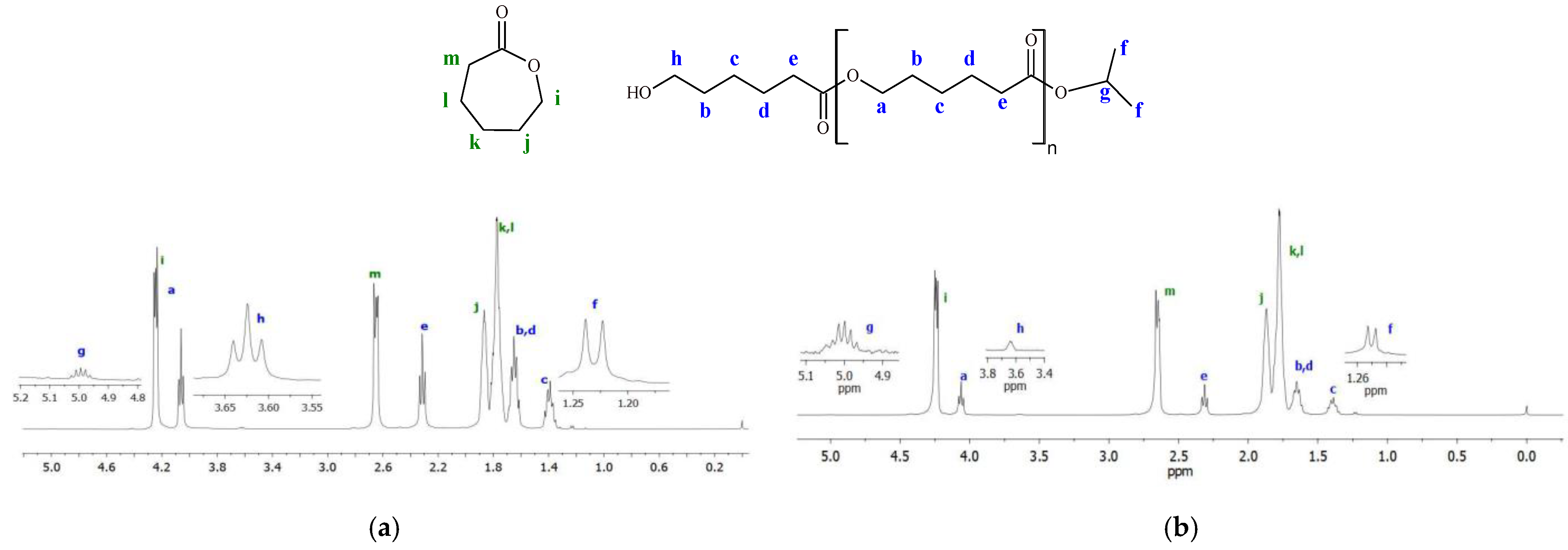 Molecules 29 00087 g011