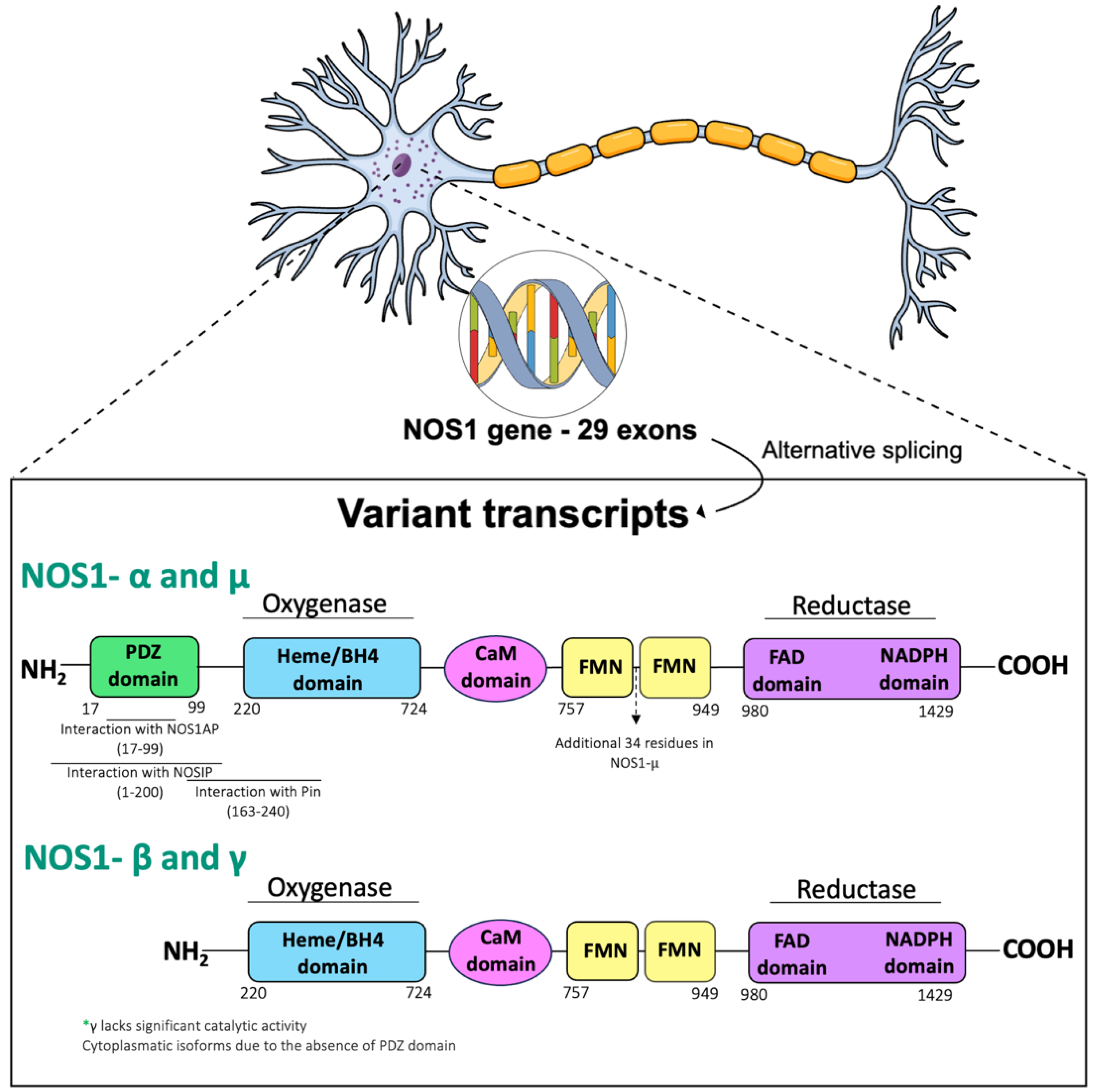 Molecules 29 00089 g002