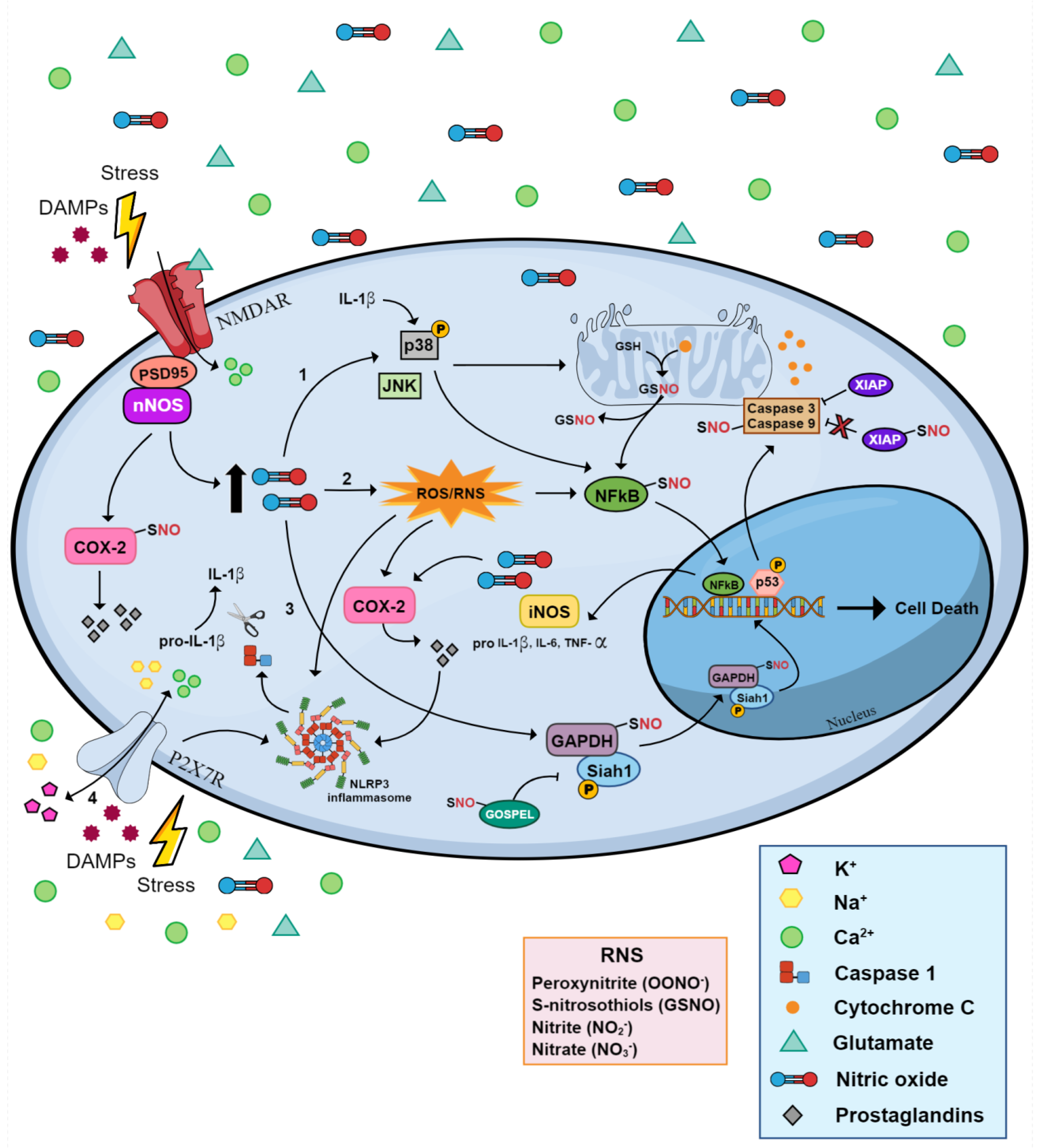 Molecules 29 00089 g003