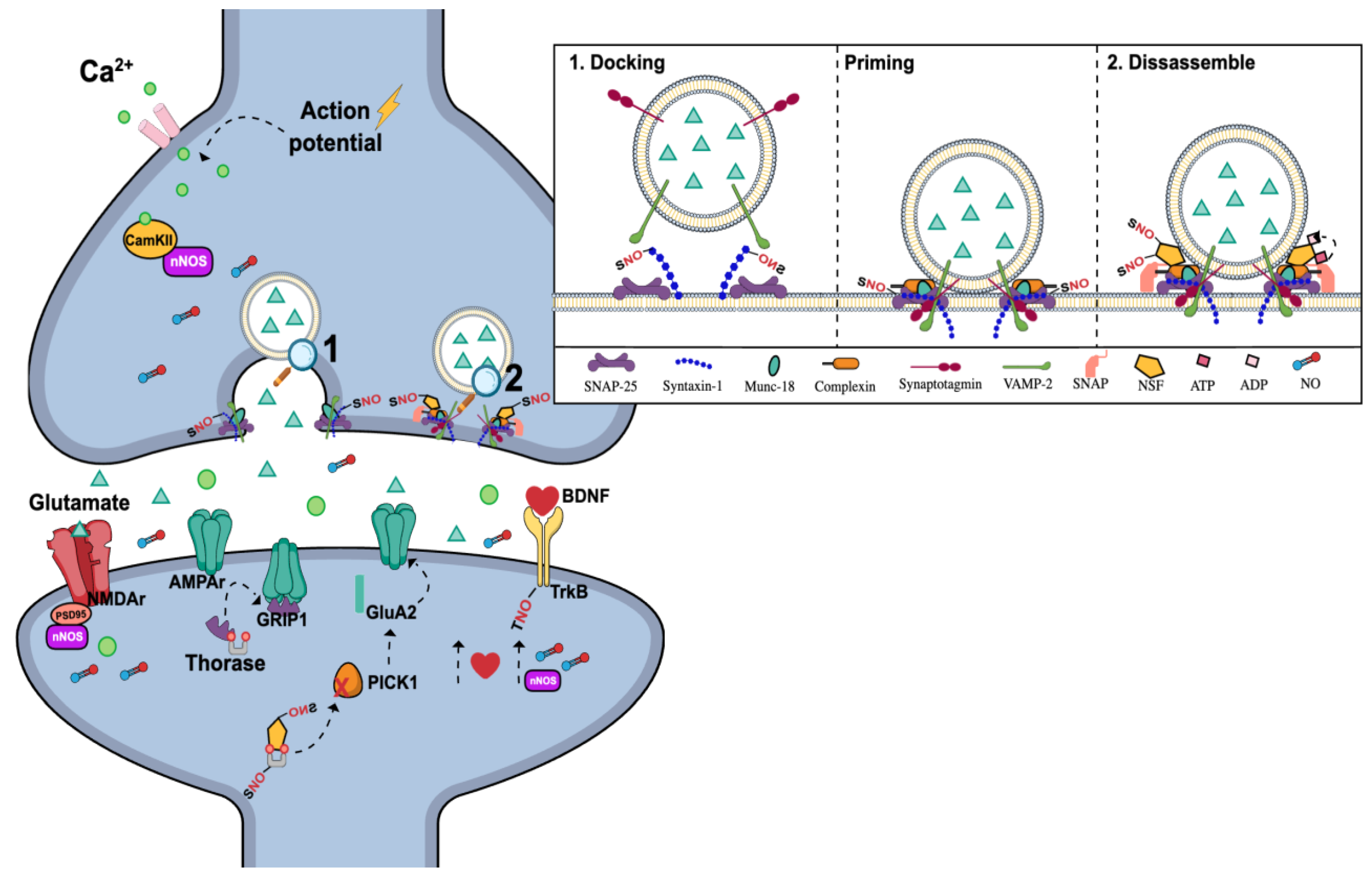 Molecules 29 00089 g004
