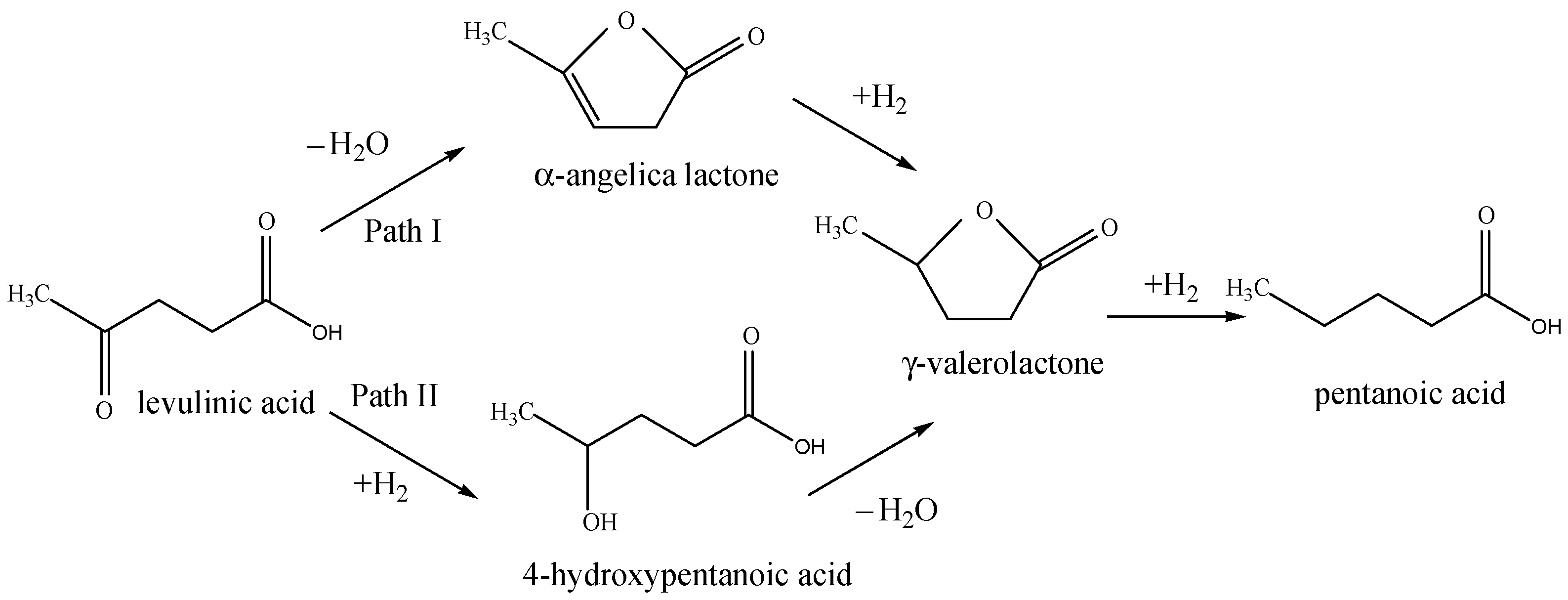Molecules 29 00099 sch001