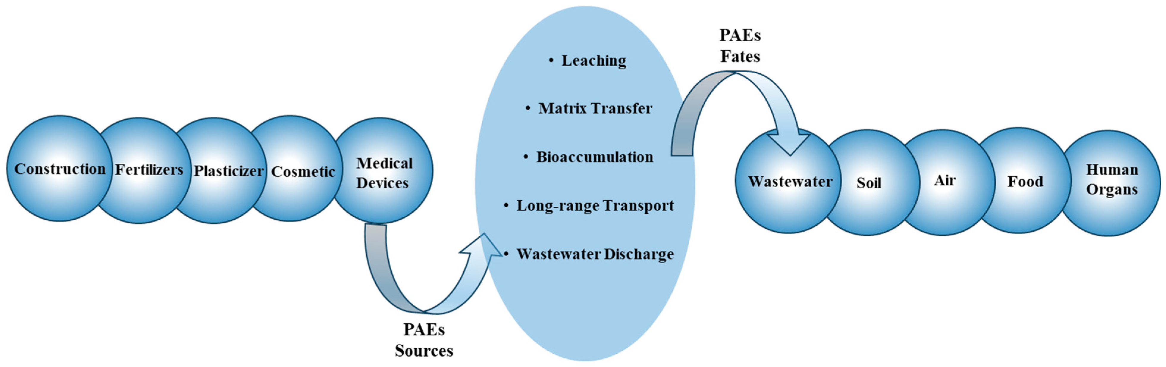 Molecules 29 00106 g003 Molecules 29 00106 g003