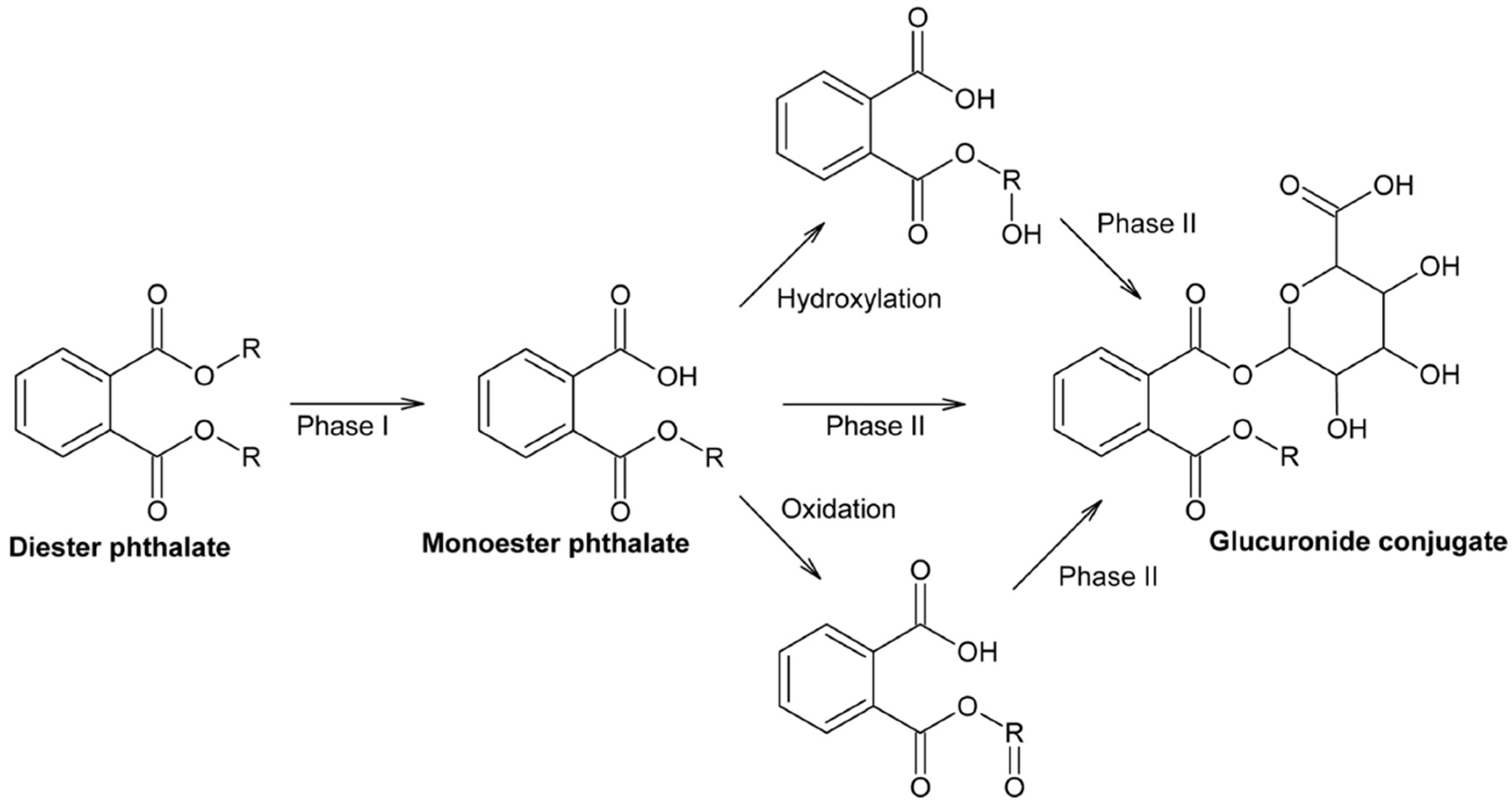 Molecules 29 00106 g004 Molecules 29 00106 g004