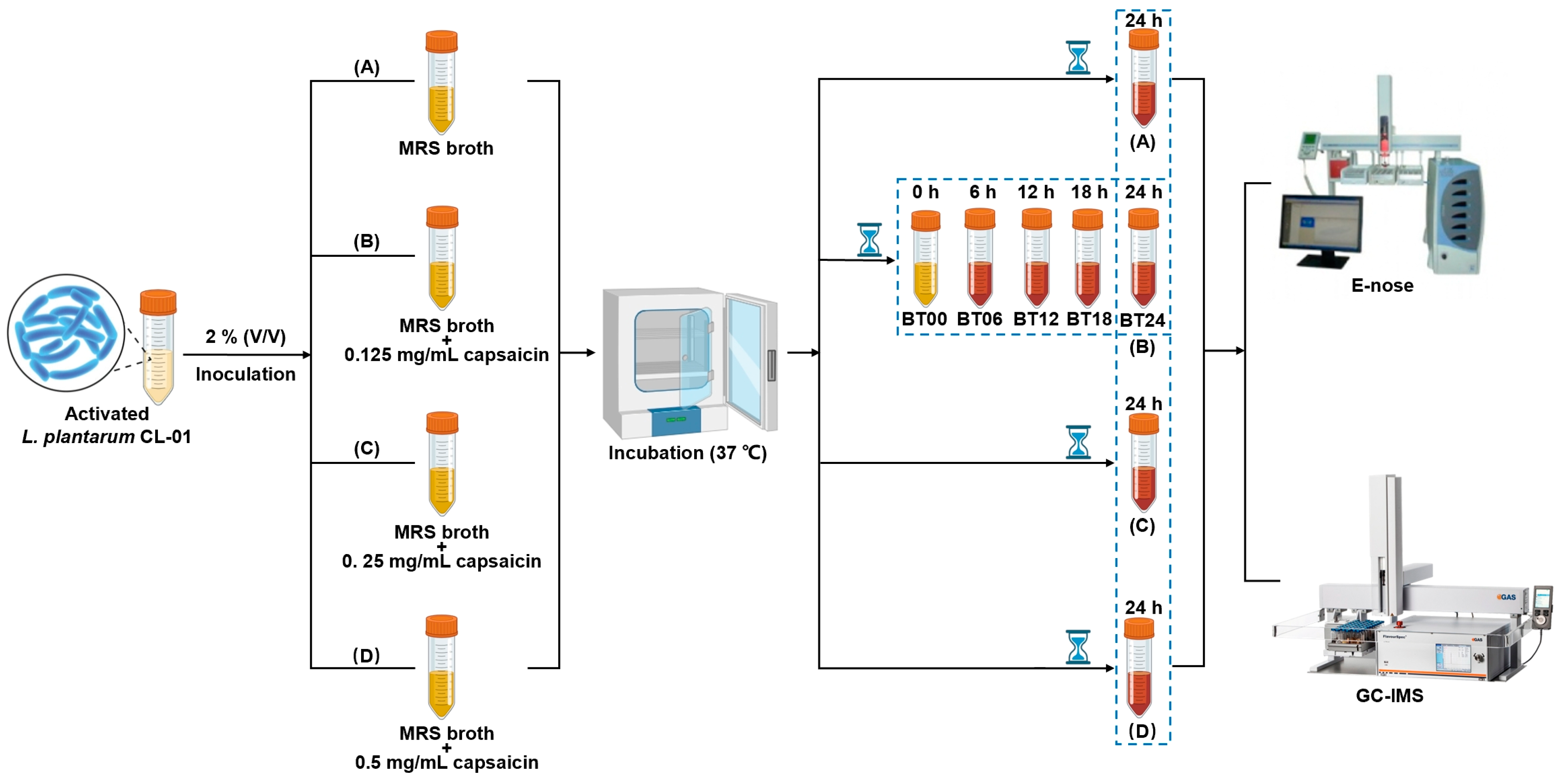 Molecules 29 00107 g013