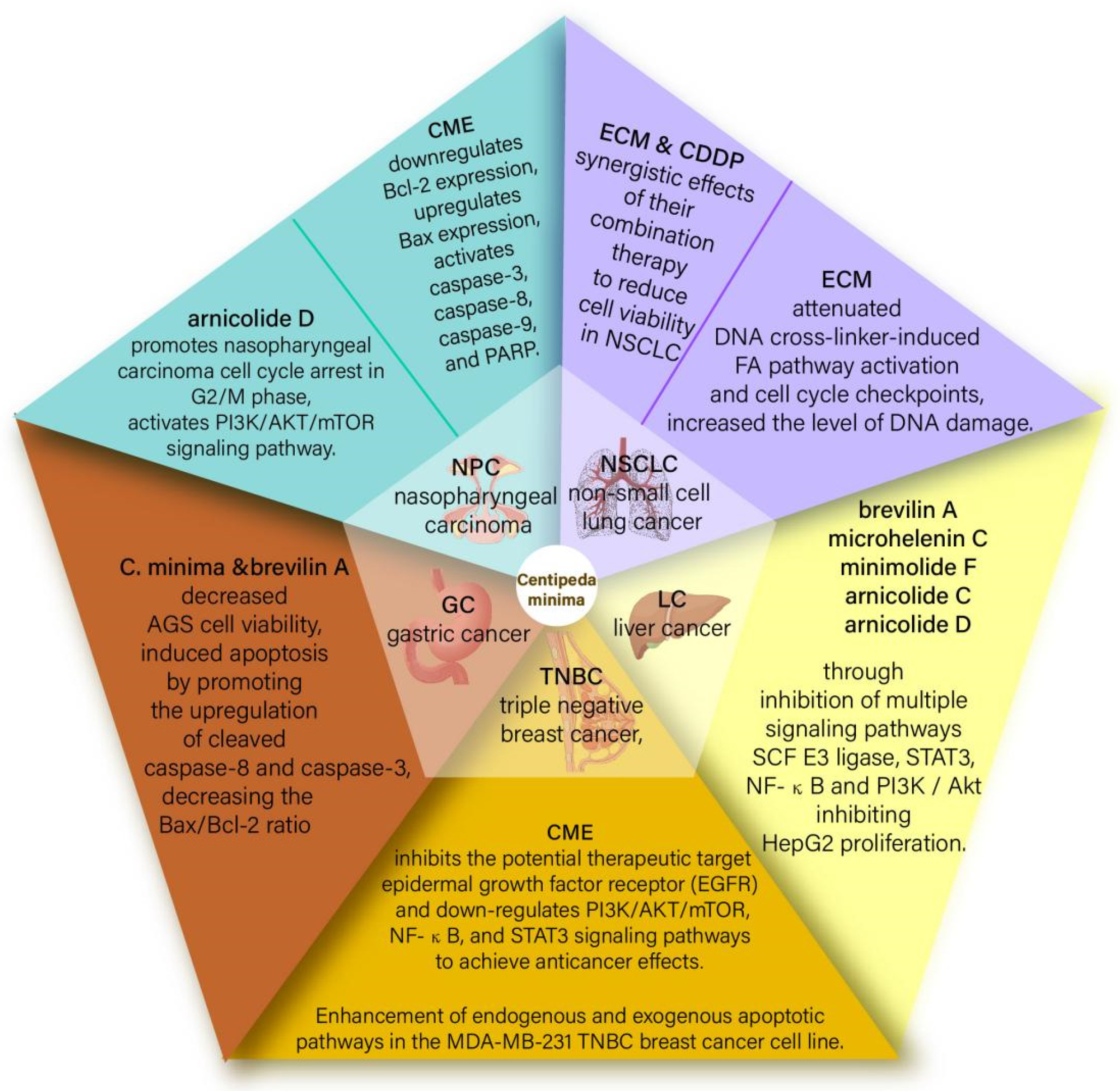Molecules 29 00108 g001