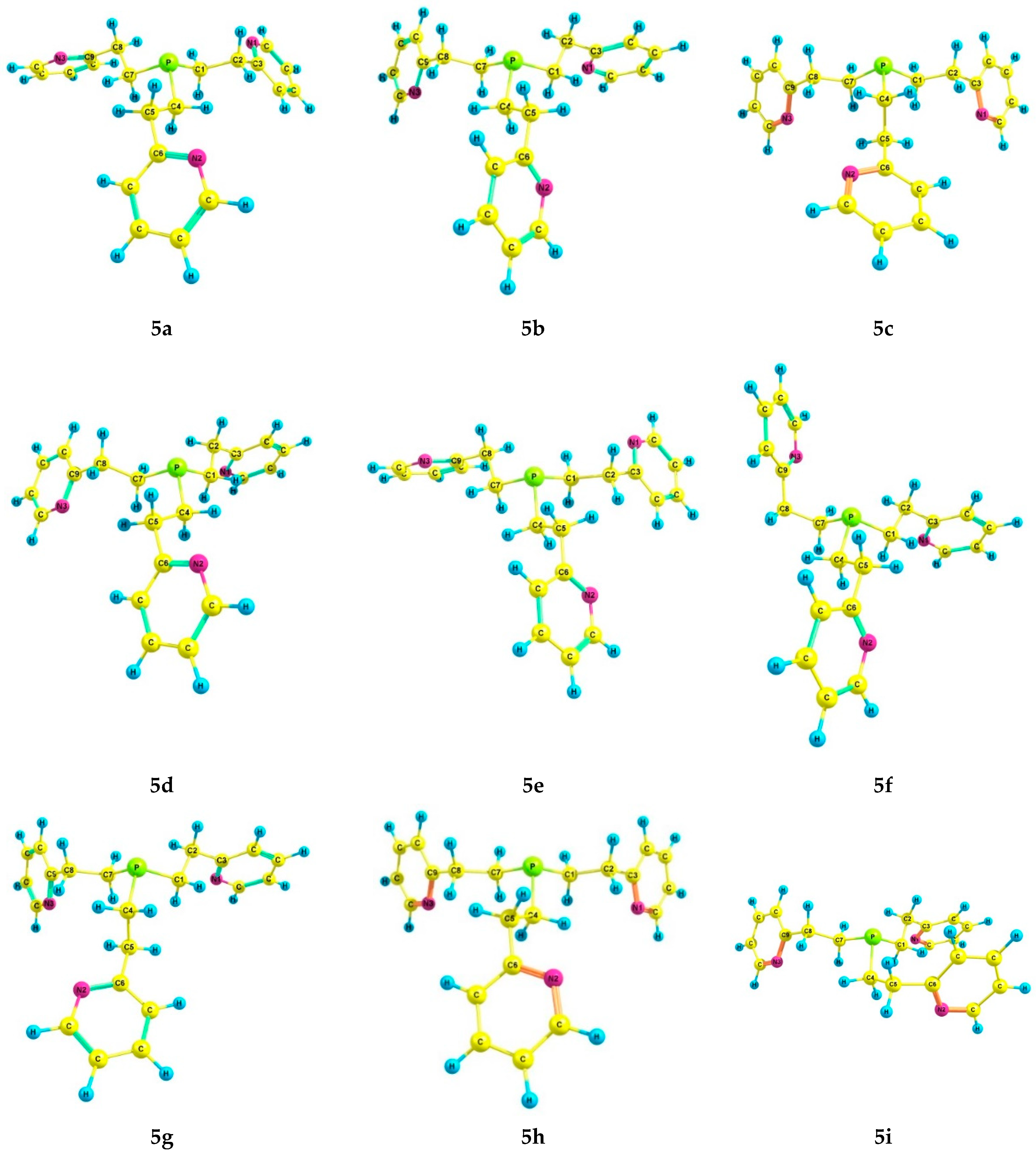 Molecules 29 00110 g004a