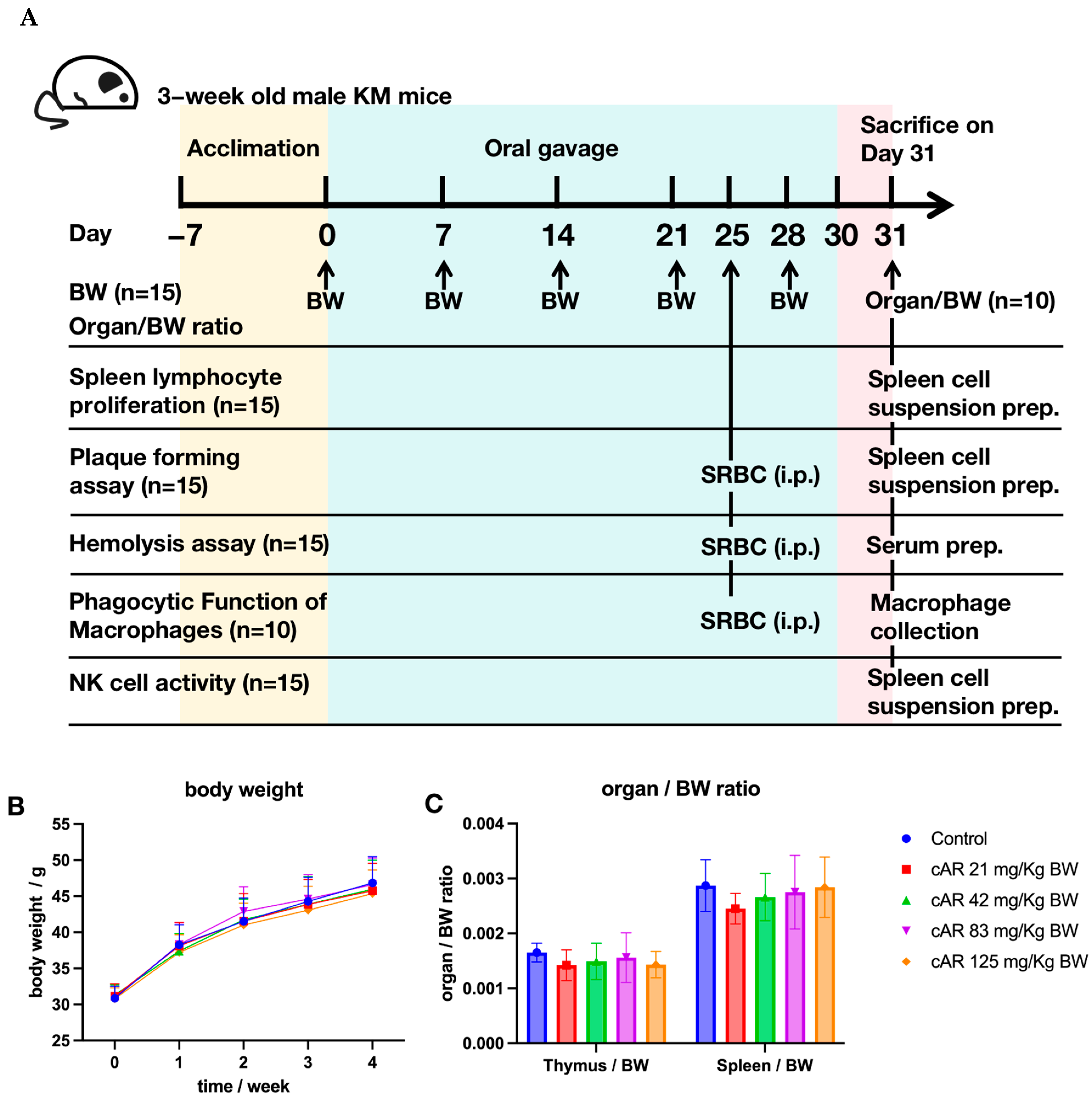 Molecules 29 00111 g002