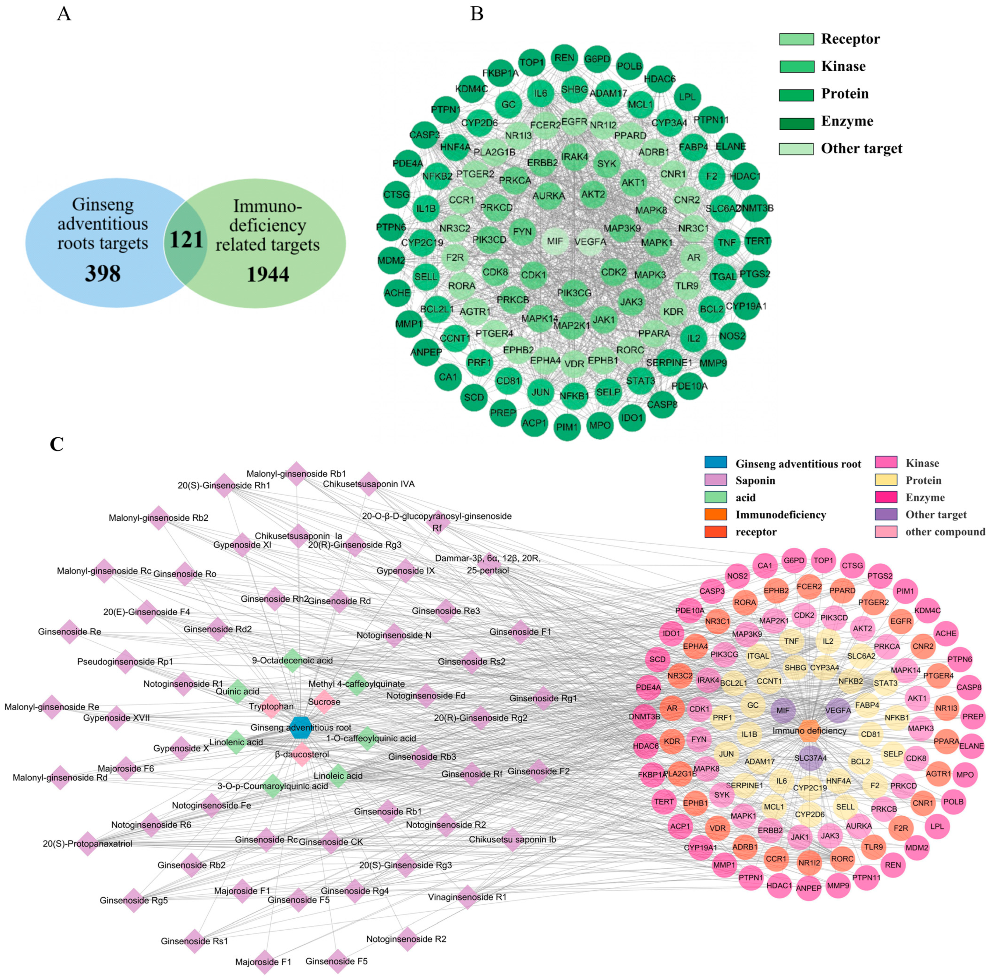 Molecules 29 00111 g004