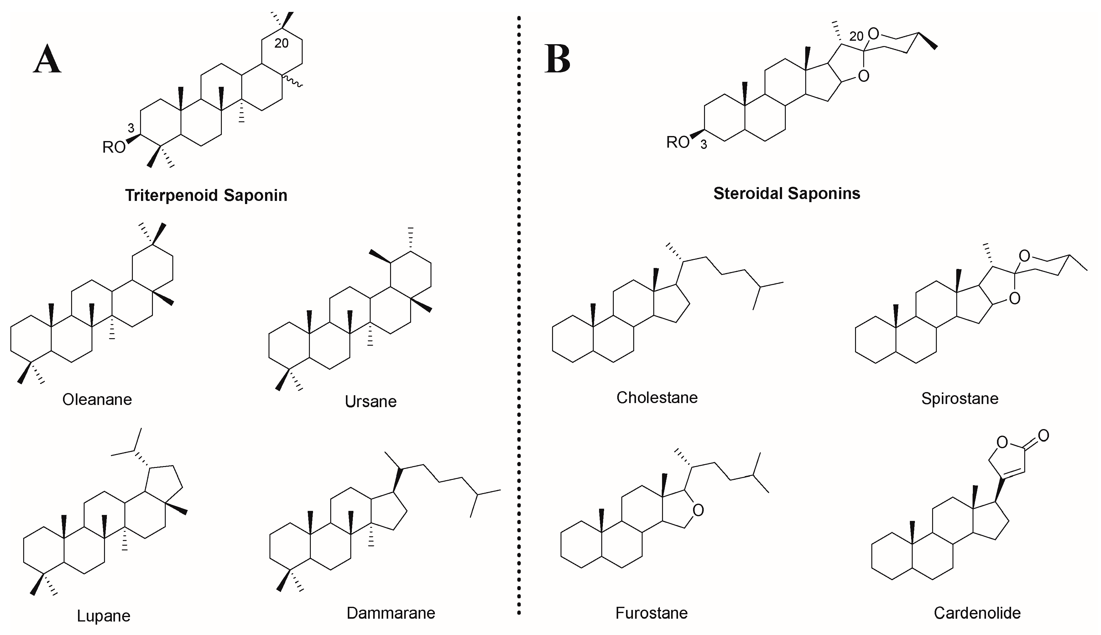 Molecules 29 00113 g001 Molecules 29 00113 g001
