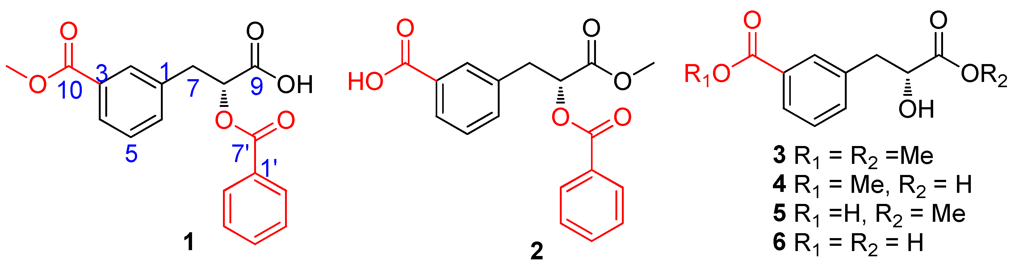 Molecules 29 00115 g001