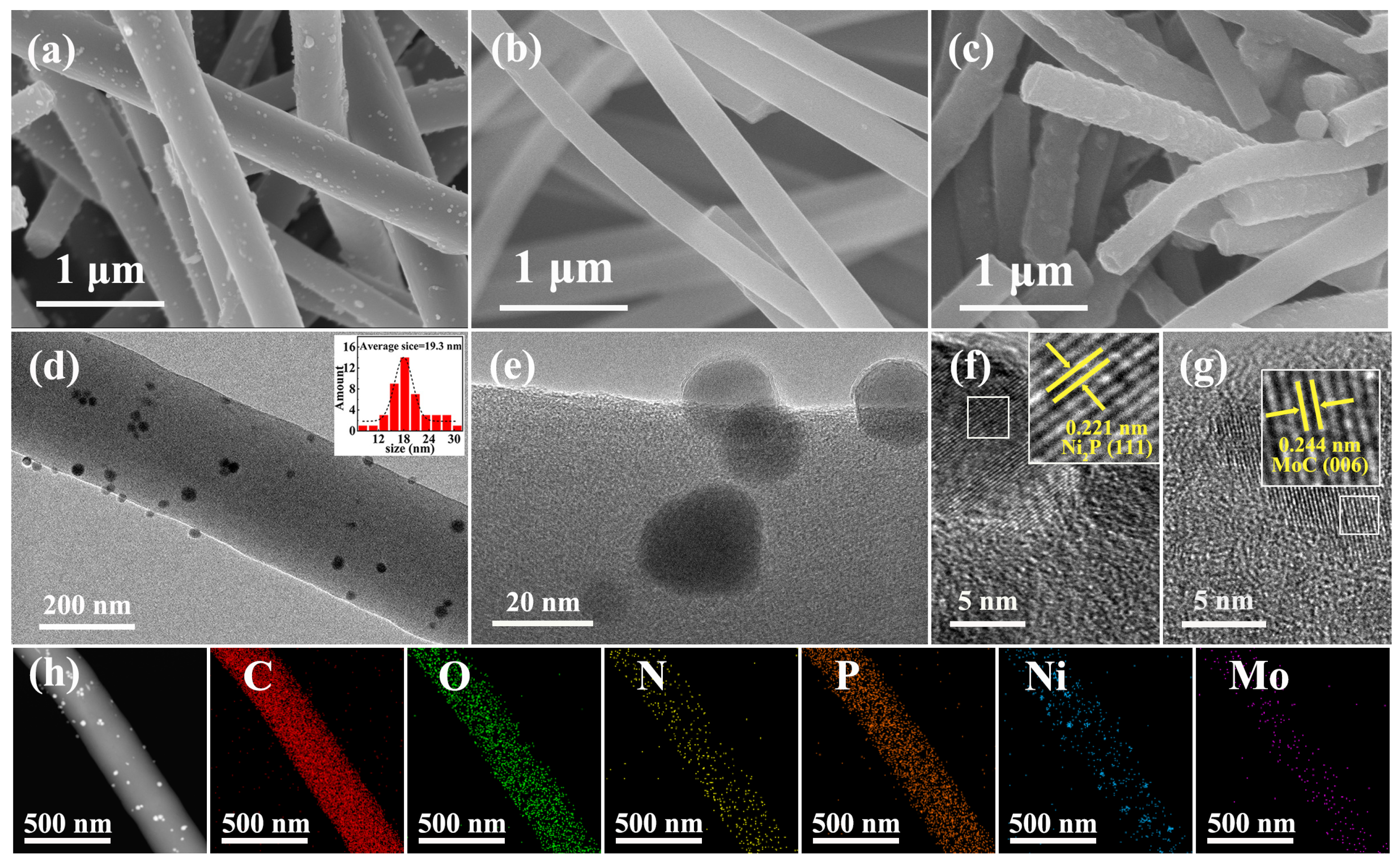 Molecules 29 00116 g002