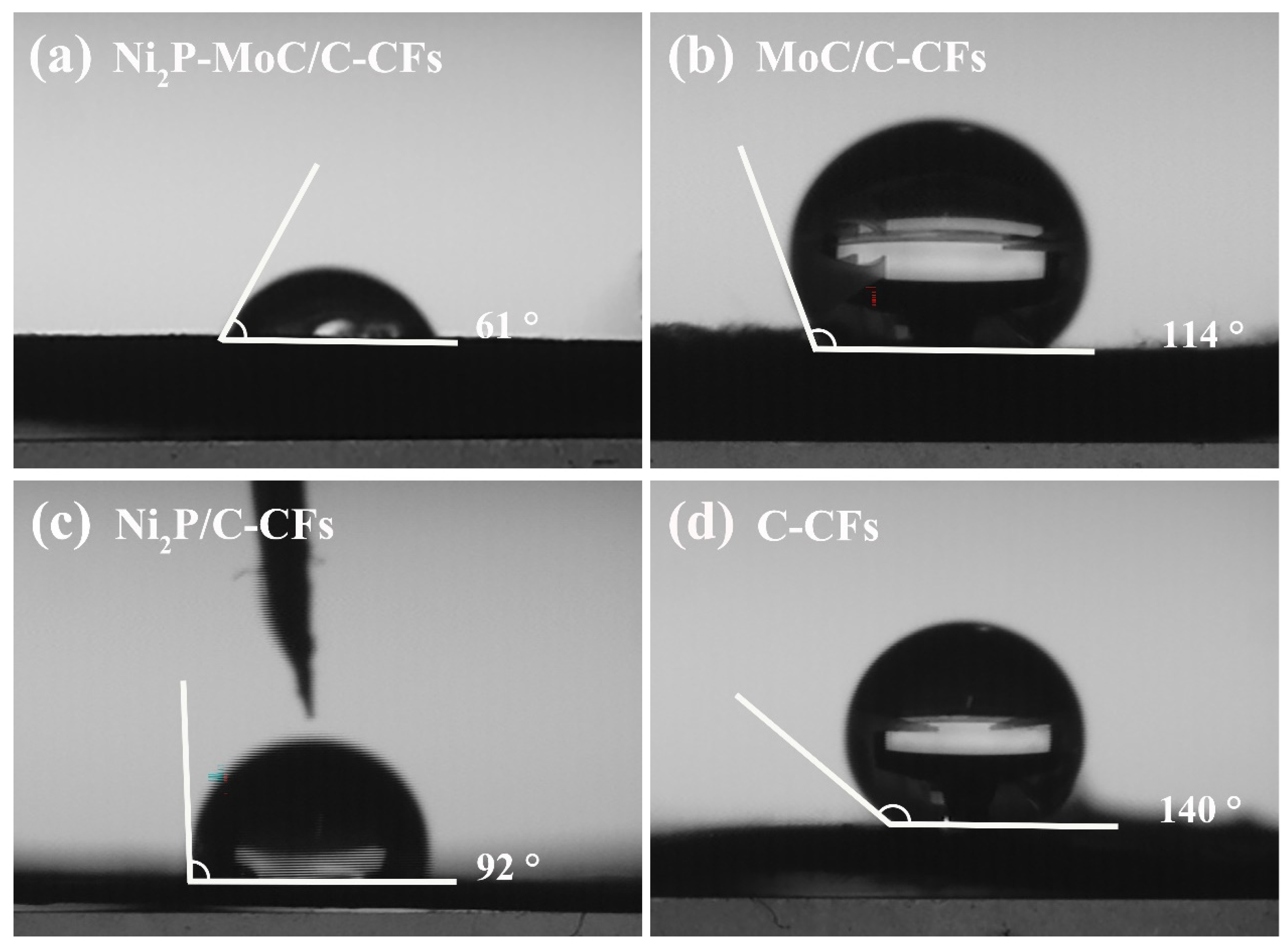 Molecules 29 00116 g004