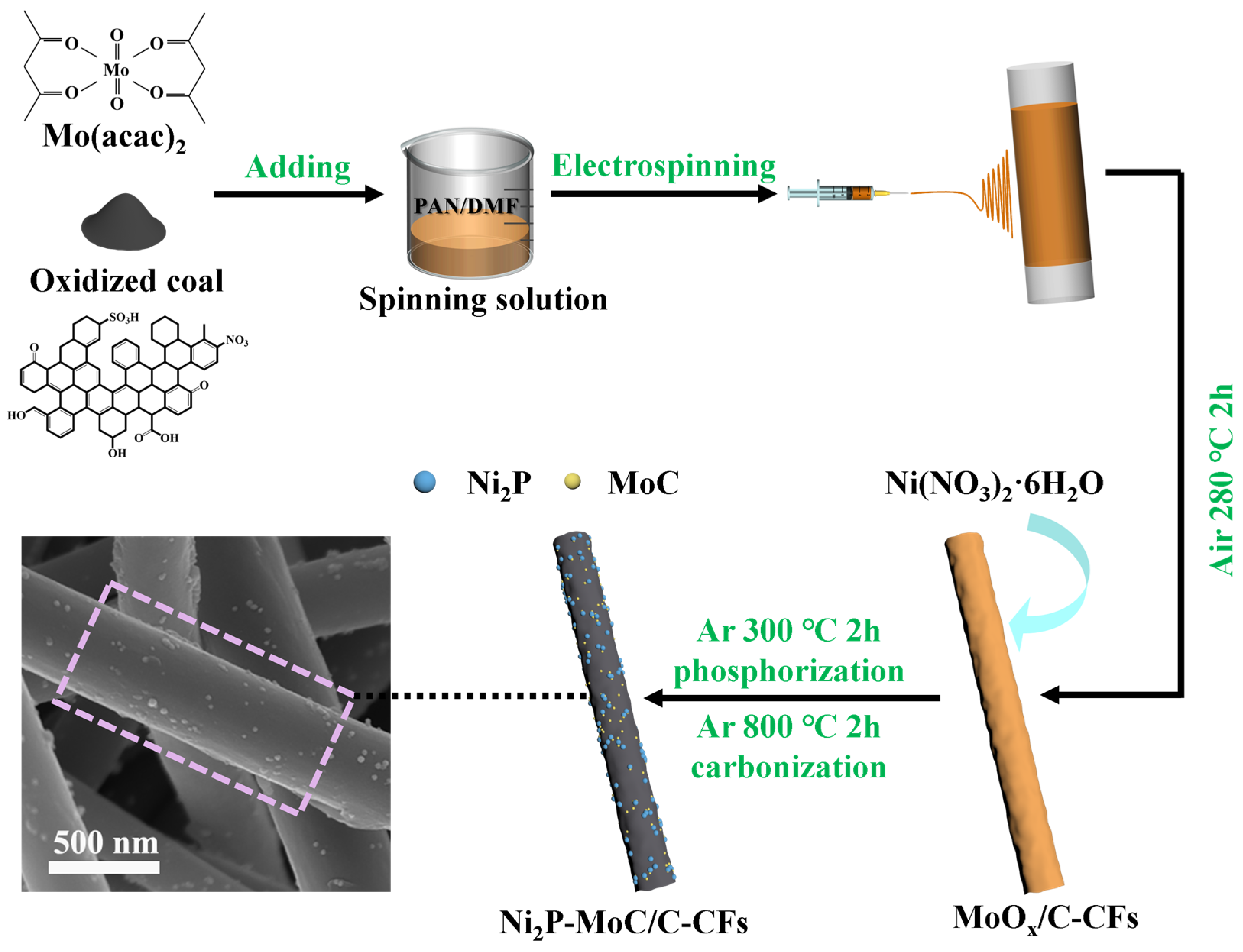 Molecules 29 00116 sch001