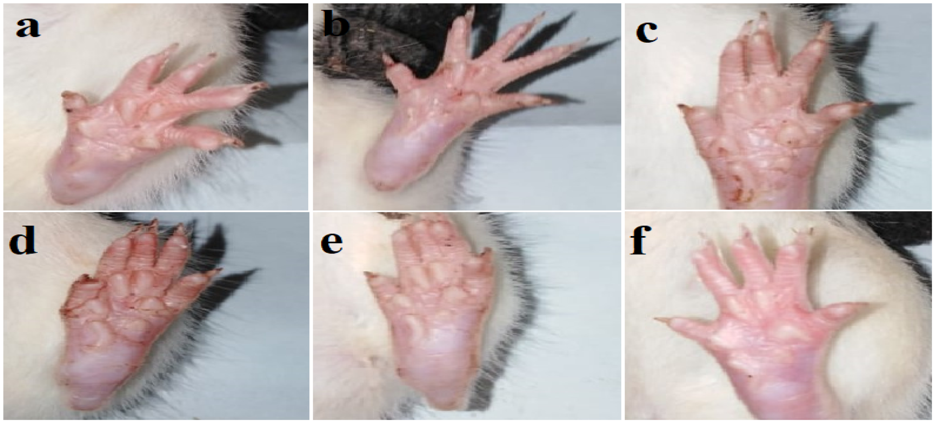 Molecules 29 00117 g003