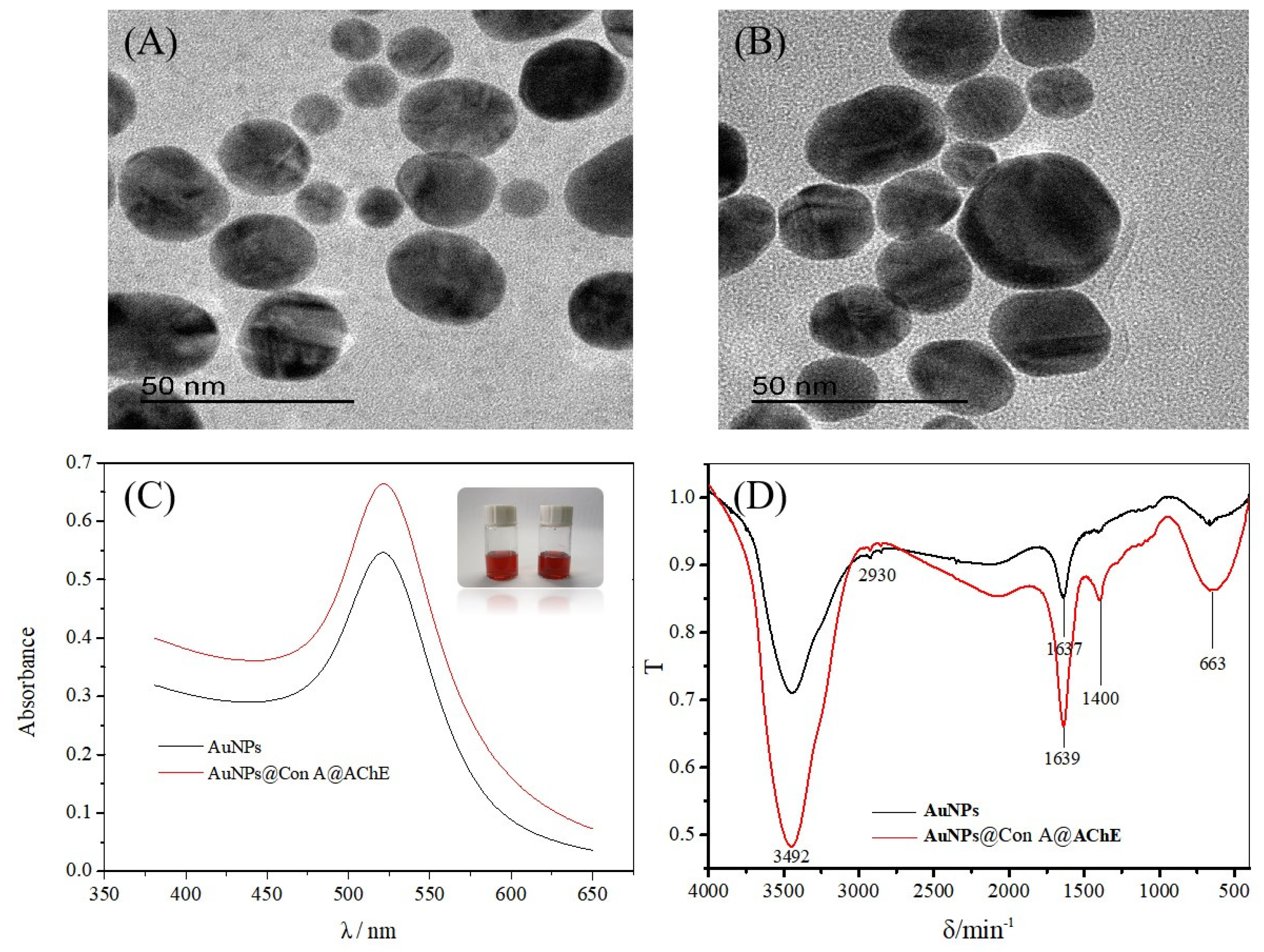 Molecules 29 00118 g001