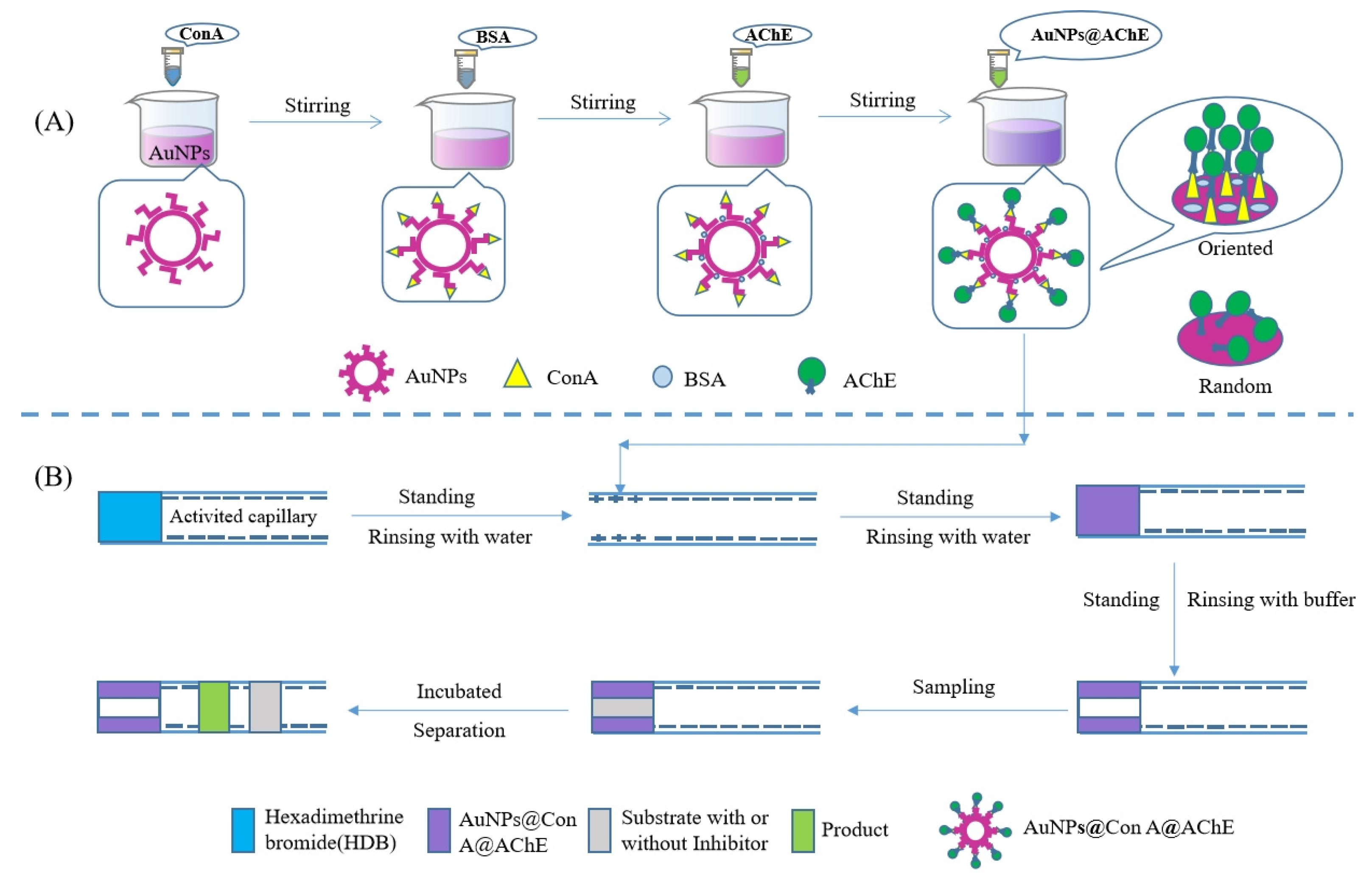 Molecules 29 00118 g006