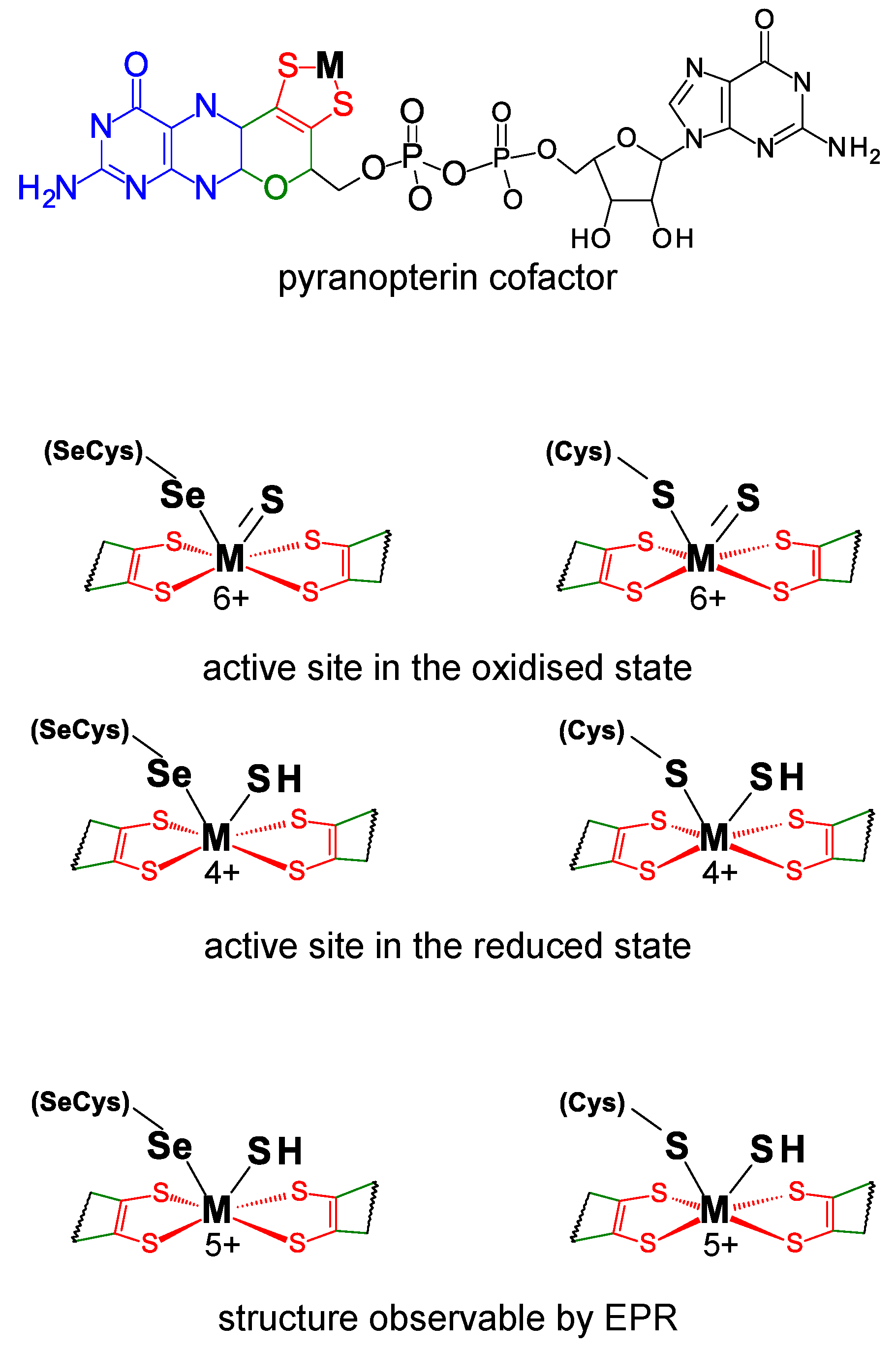 Molecules 29 00120 g001