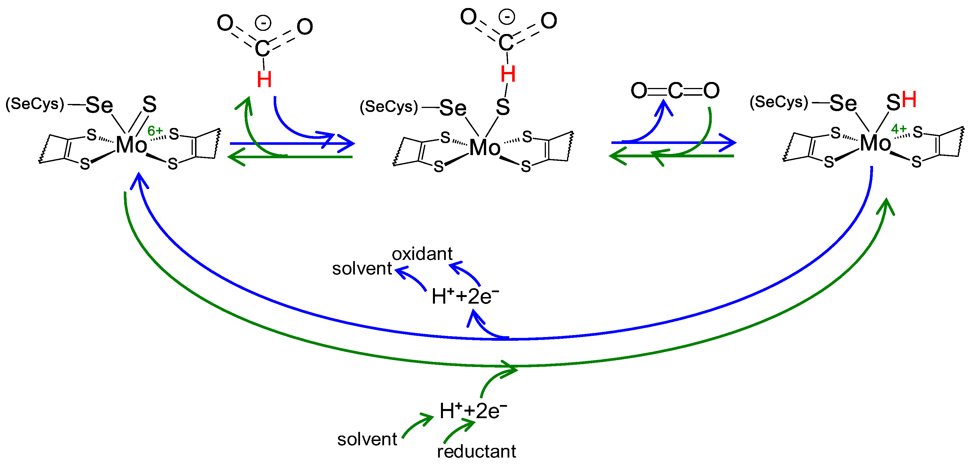 Molecules 29 00120 g002