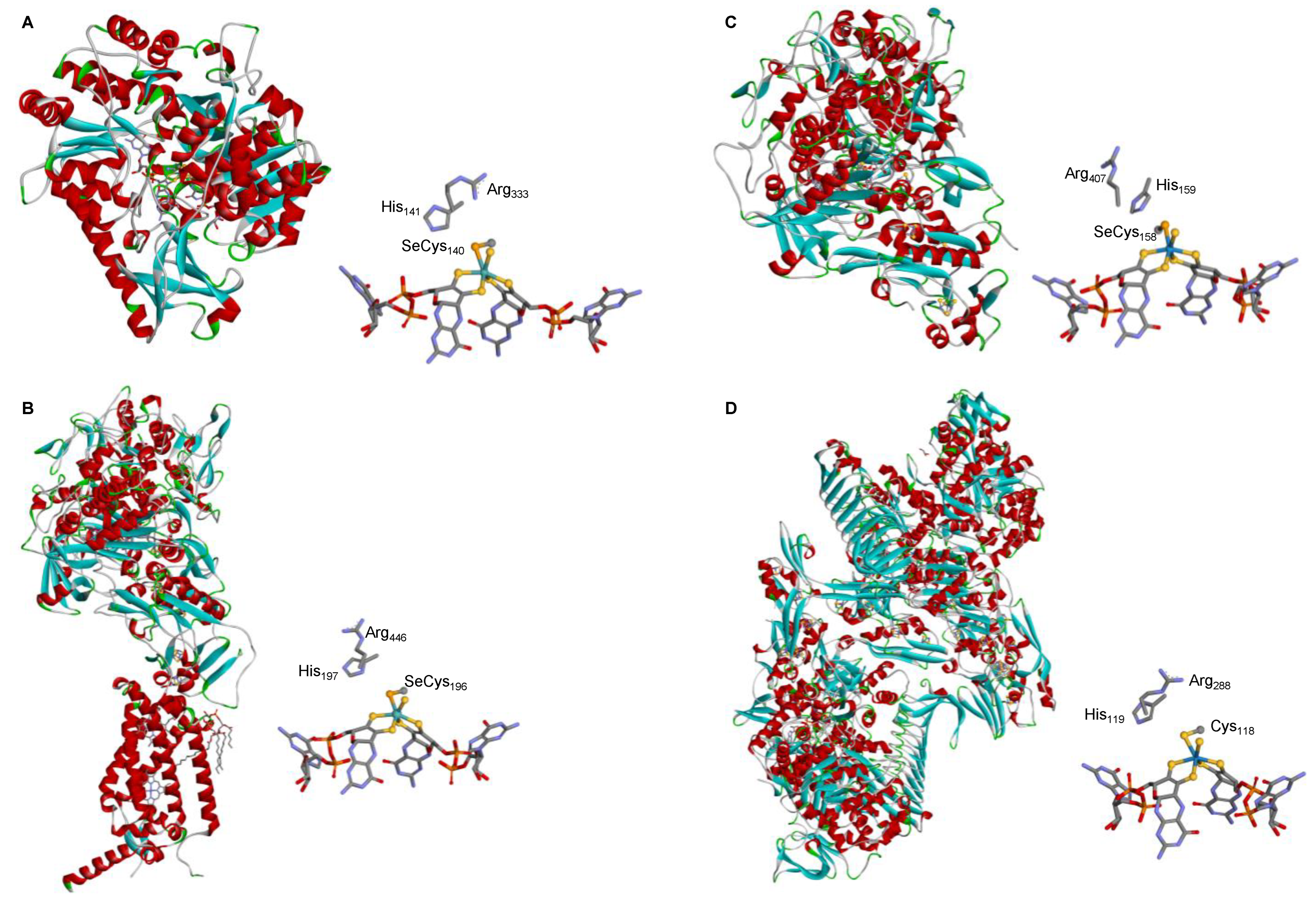 Molecules 29 00120 g003