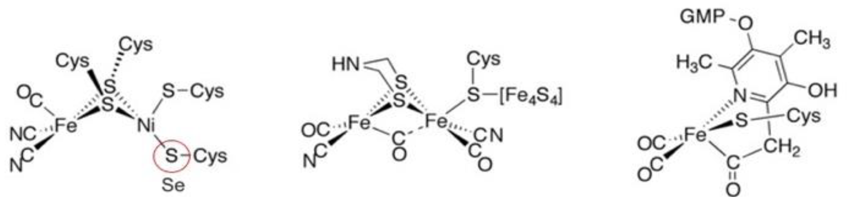 Molecules 29 00120 g004
