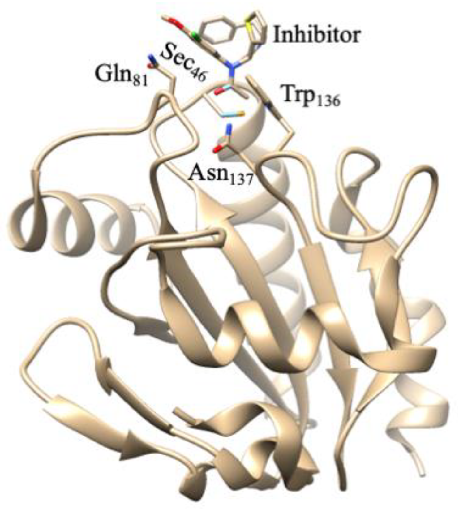 Molecules 29 00120 g014