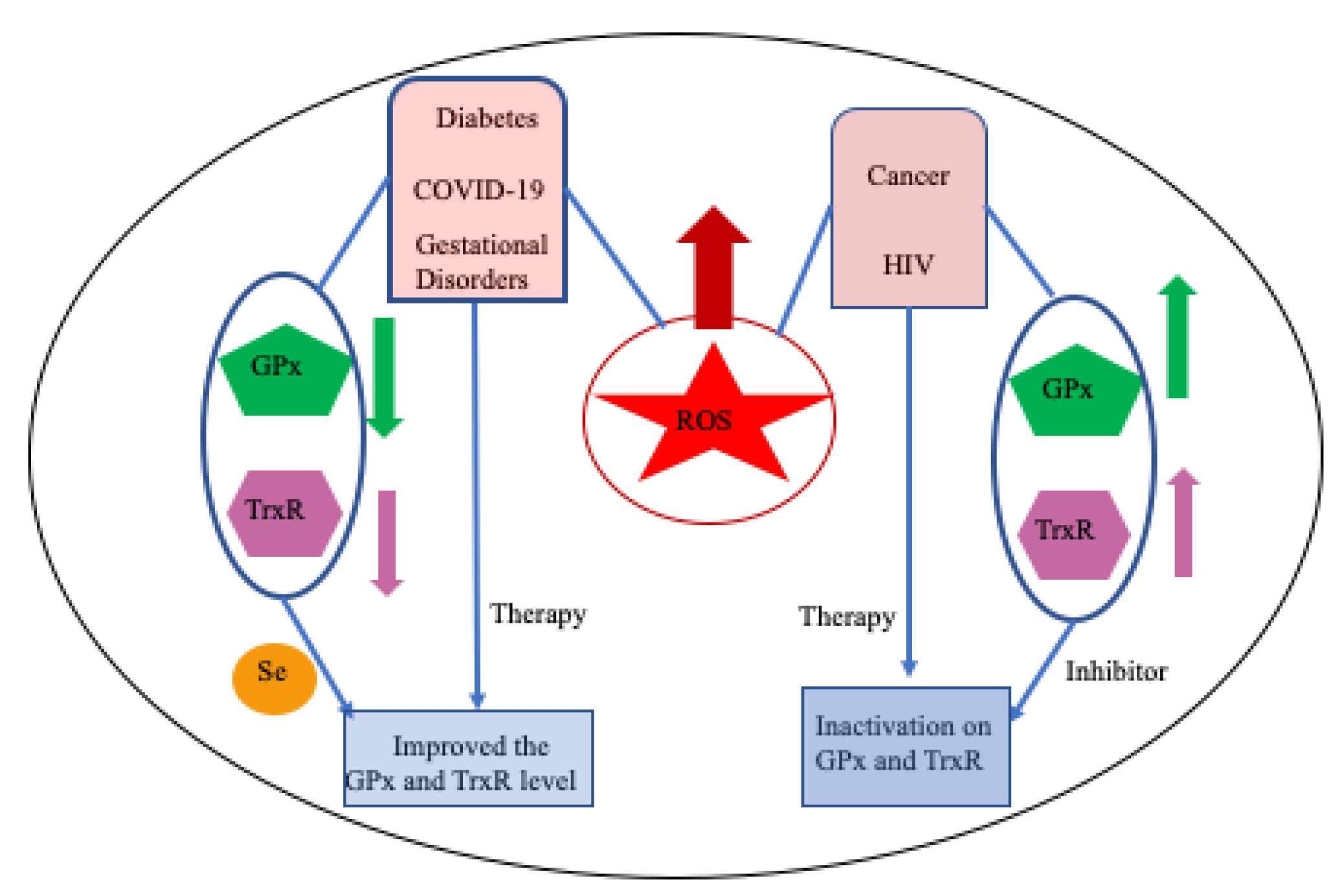 Molecules 29 00120 g015