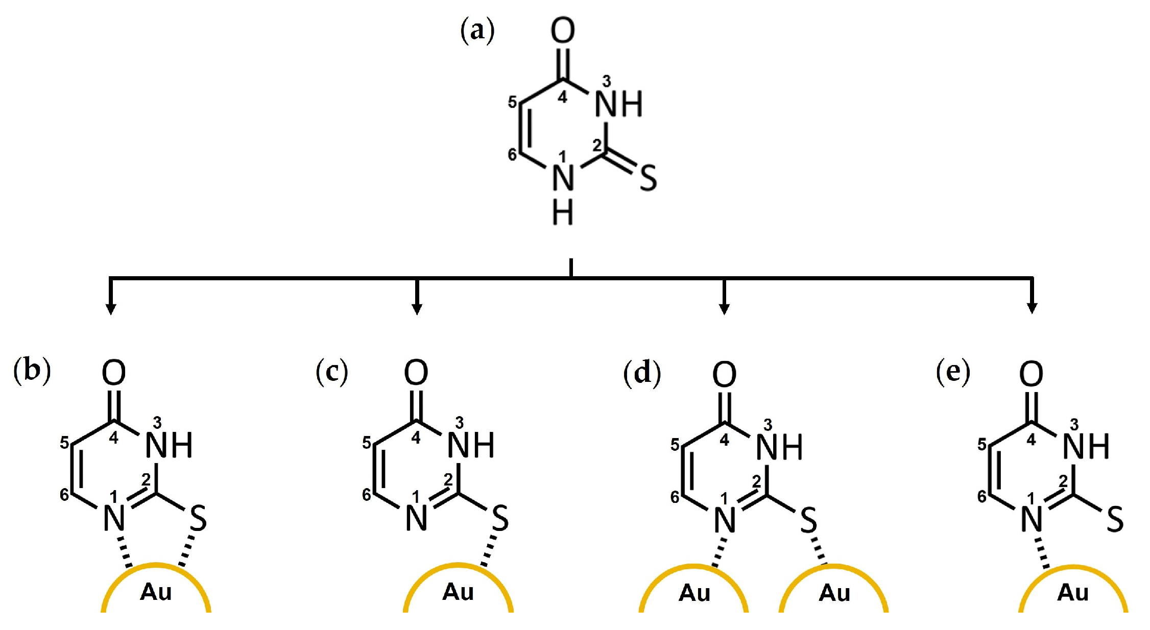 Molecules 29 00121 g006