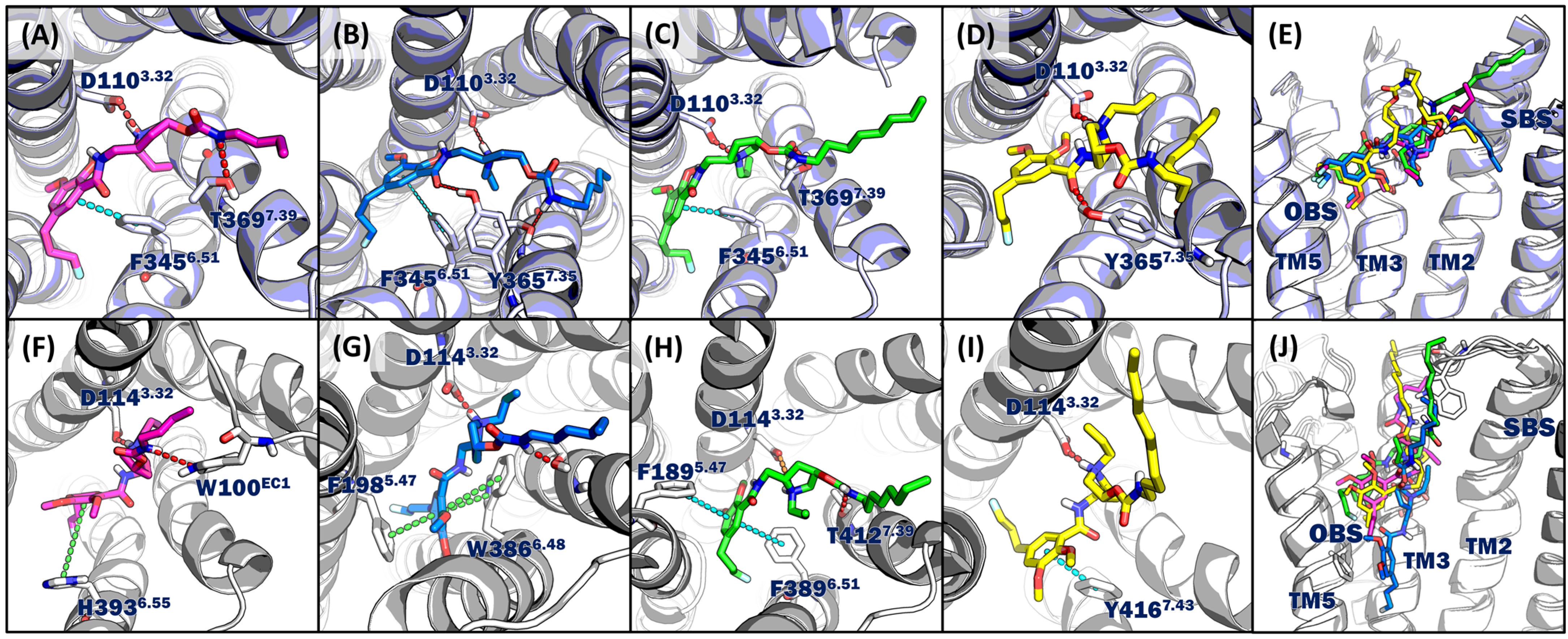 Molecules 29 00123 g003