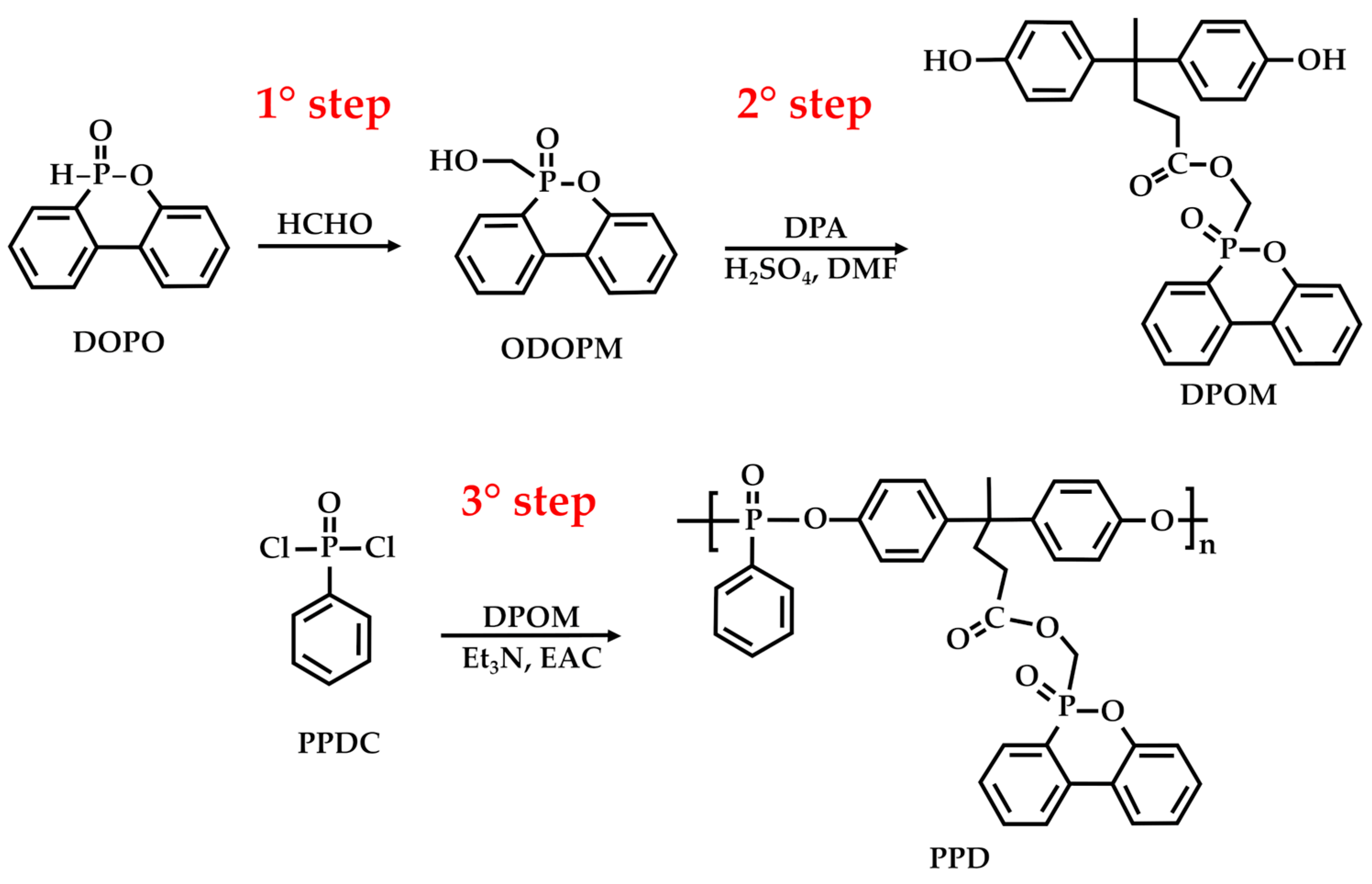 Molecules 29 00126 g012