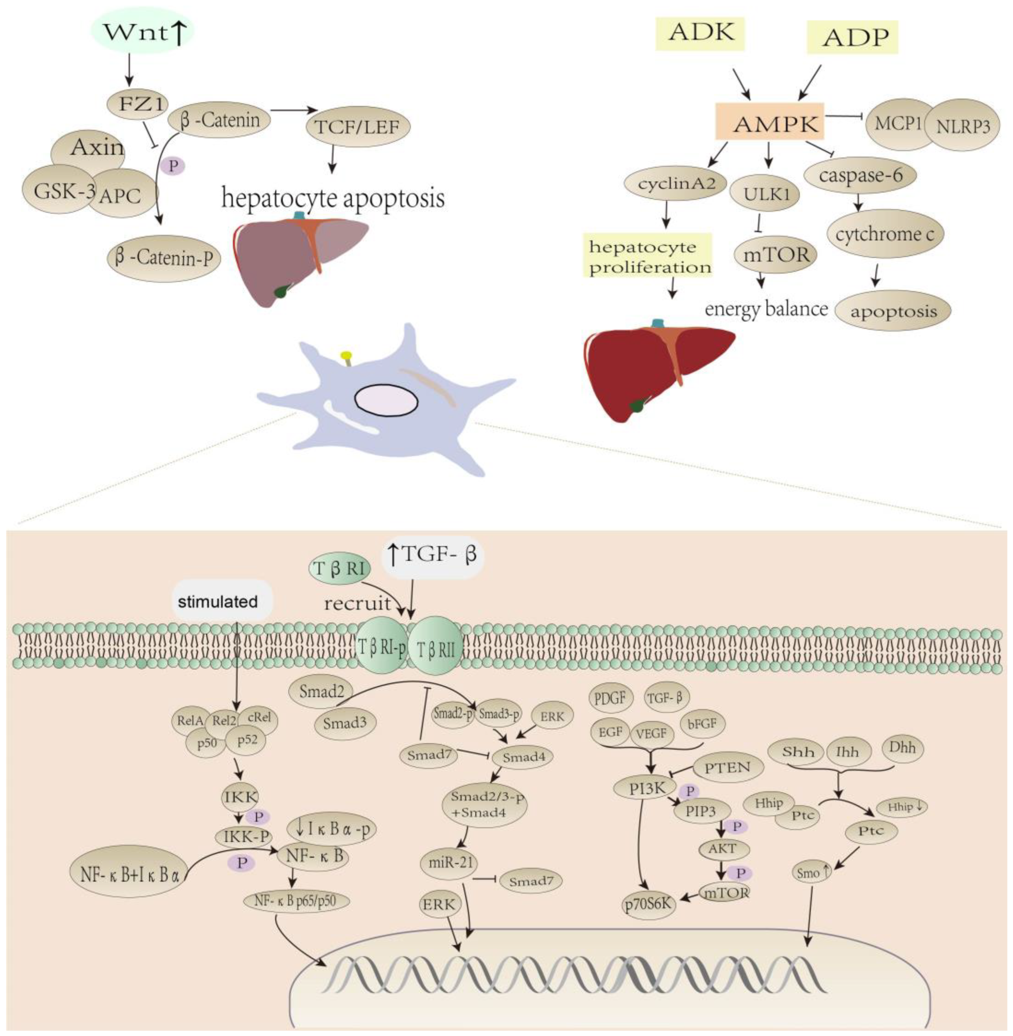 Molecules 29 00127 g002