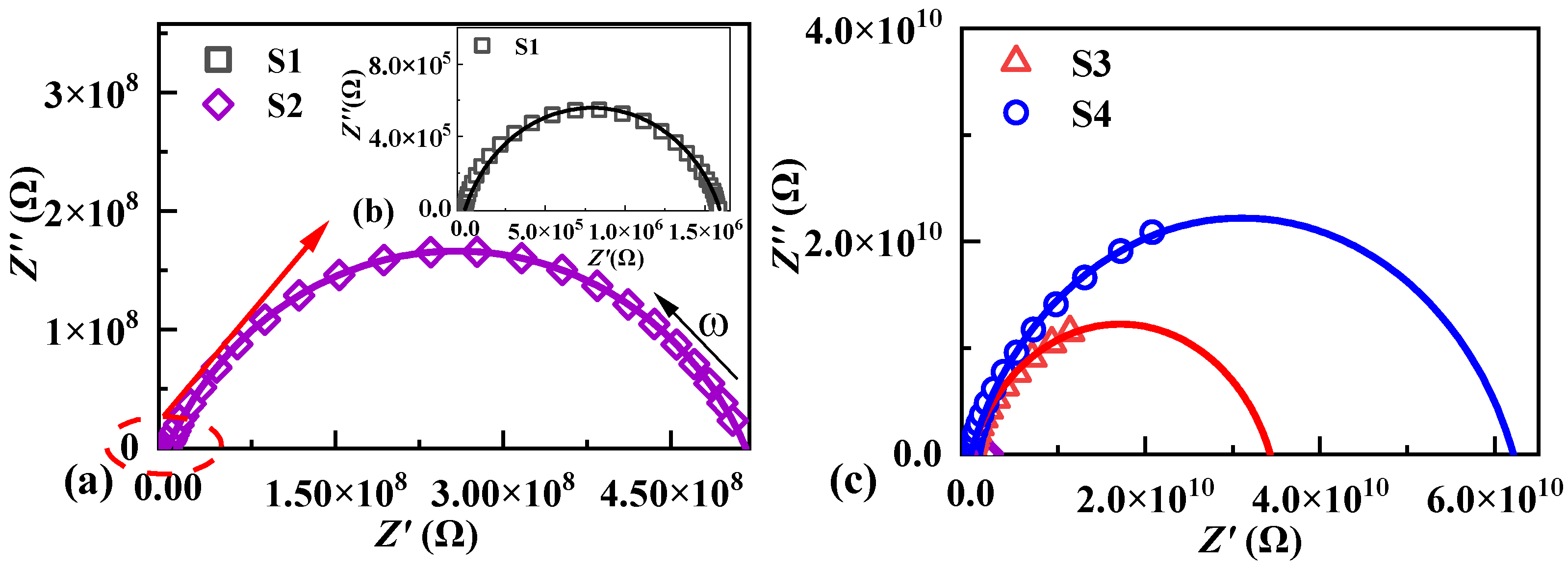 Molecules 29 00129 g004