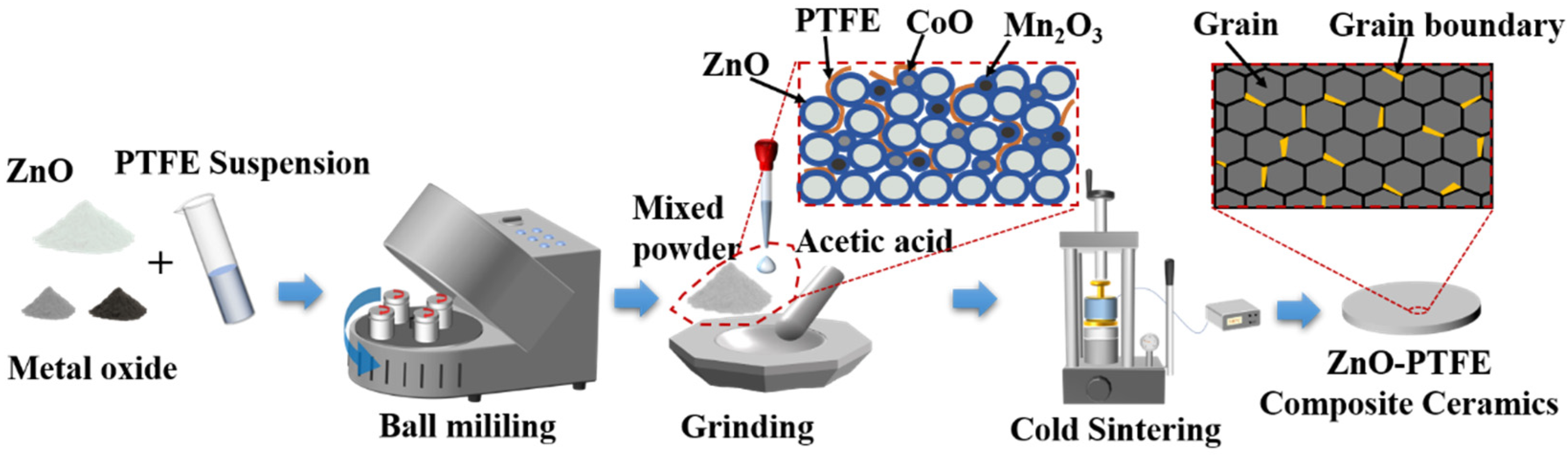 Molecules 29 00129 g007