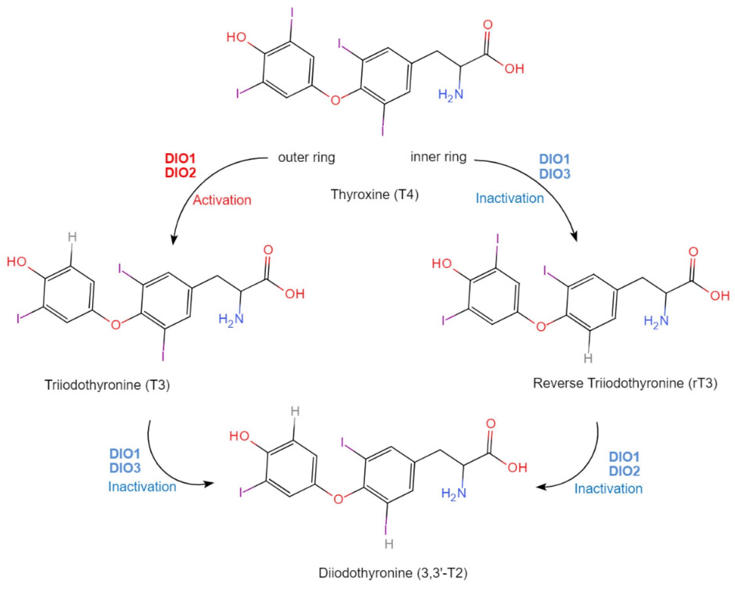 Molecules 29 00136 g003