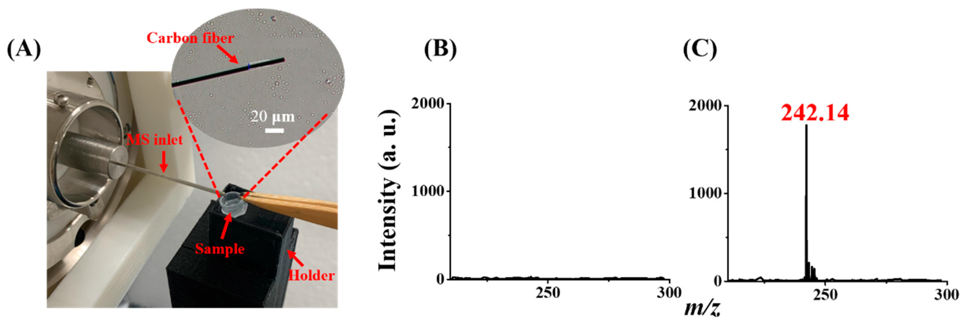 Molecules 29 00137 g004