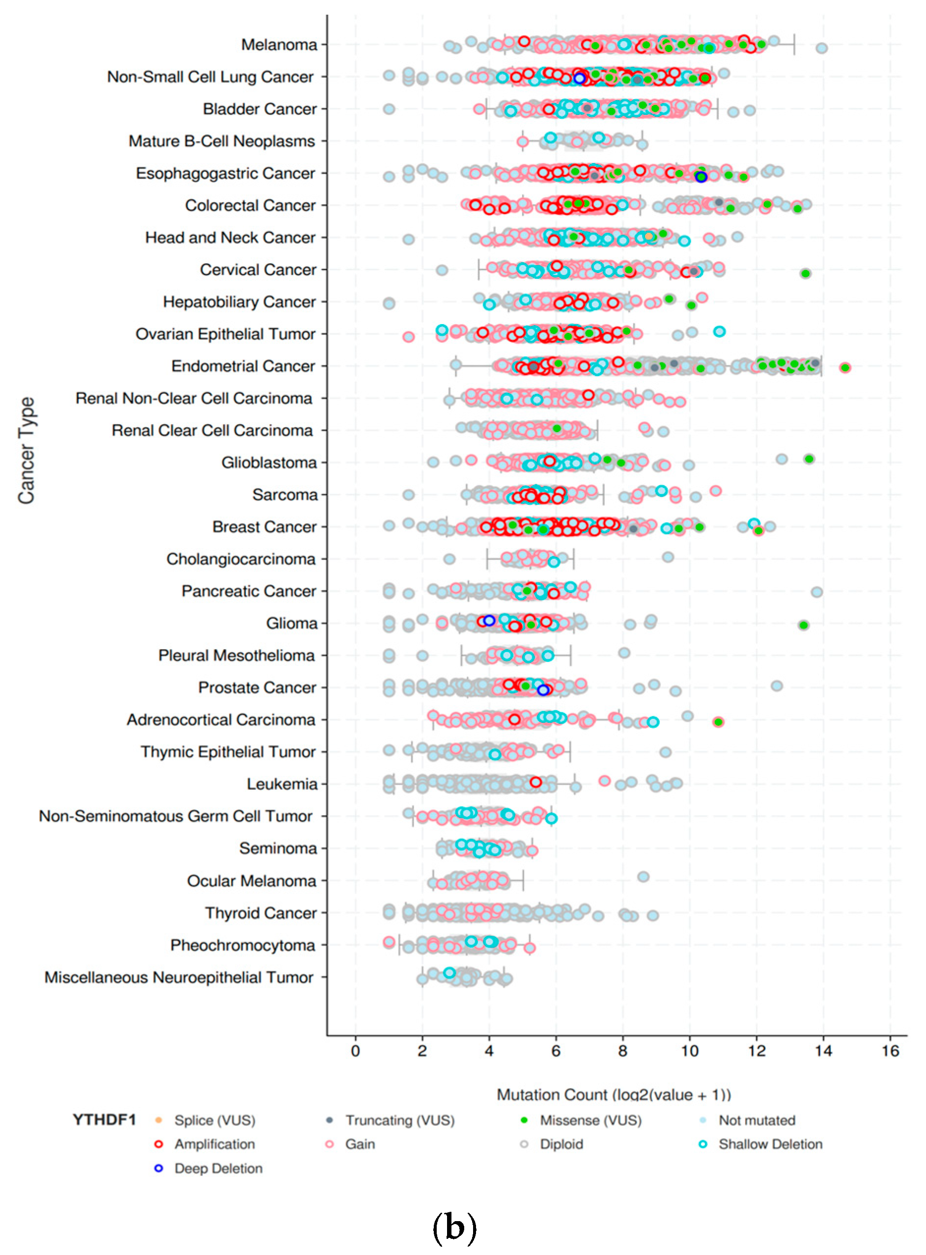 Molecules 29 00140 g002b