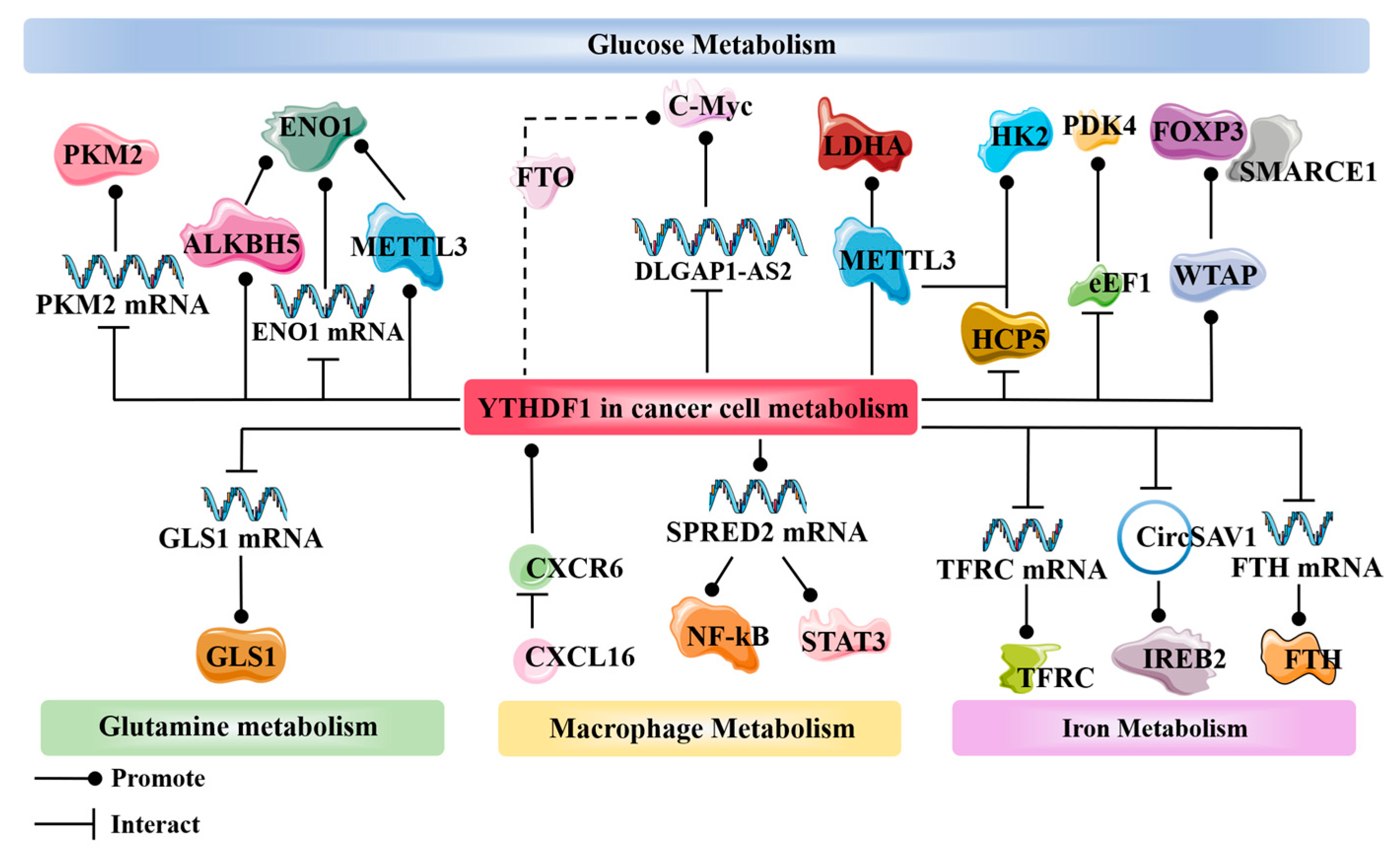 Molecules 29 00140 g003