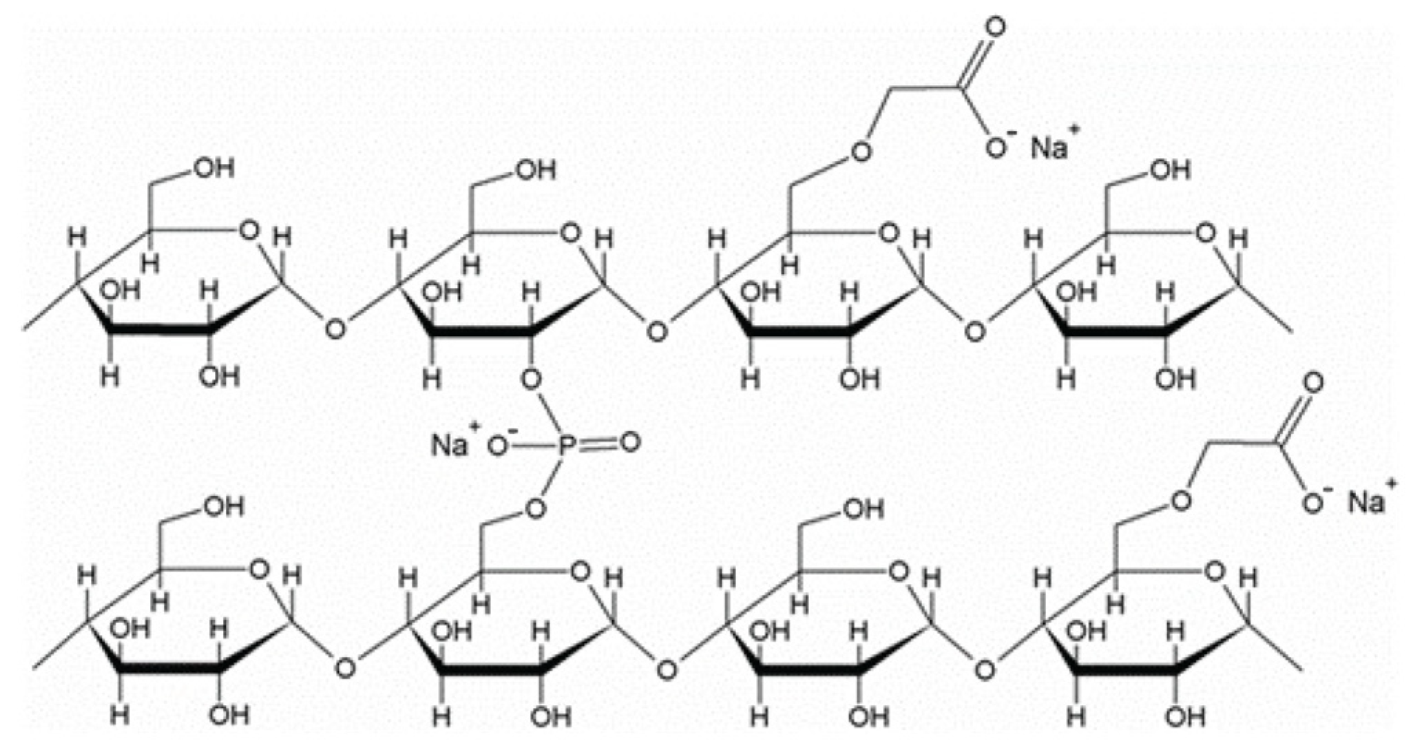 Molecules 29 00151 g004