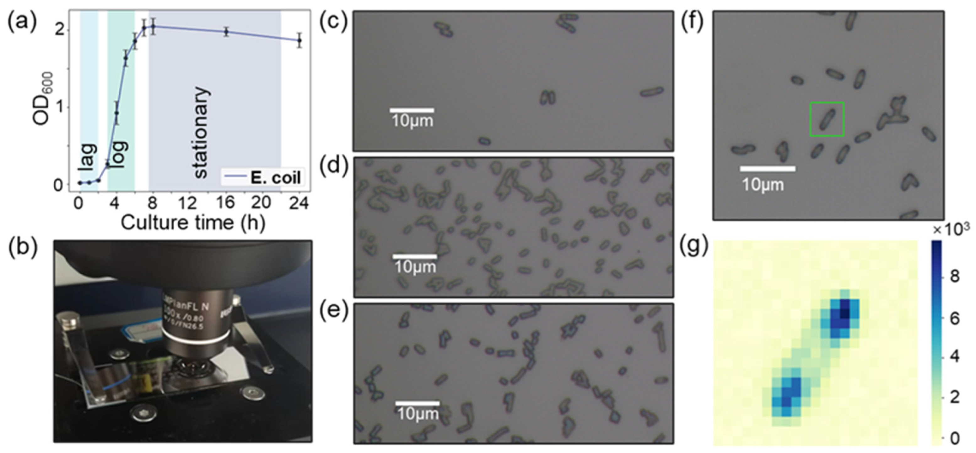 Molecules 29 00157 g001