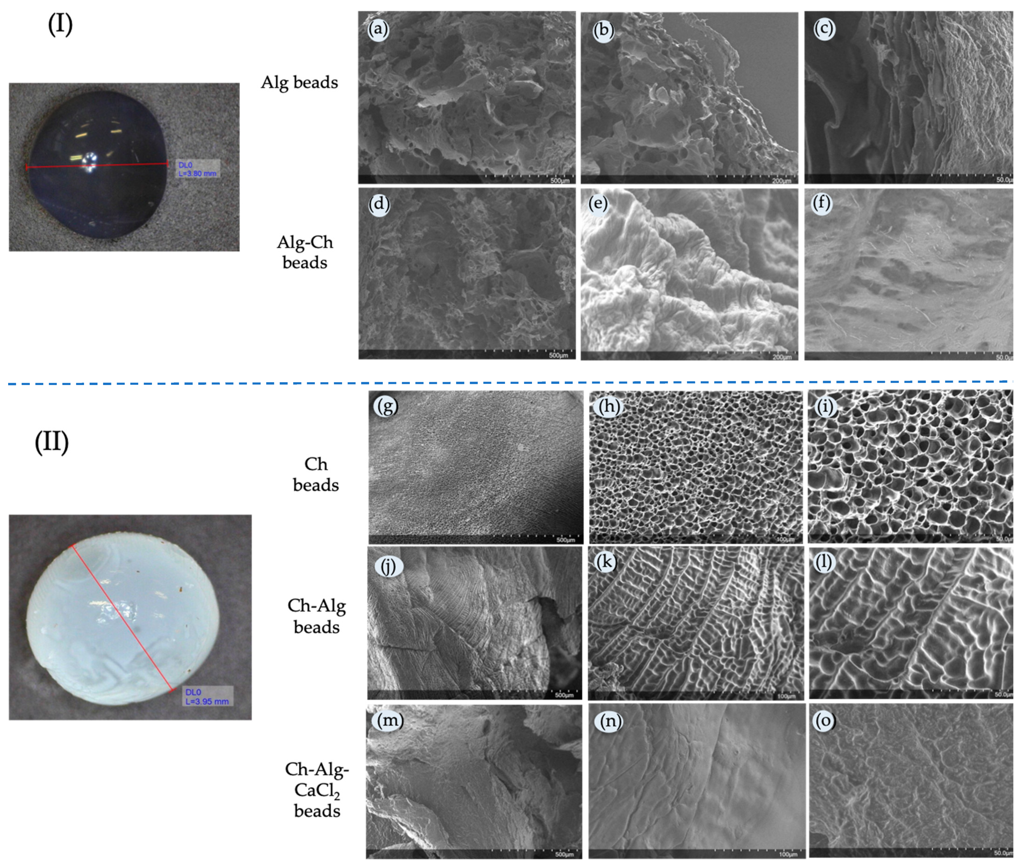 Molecules 29 00158 g005