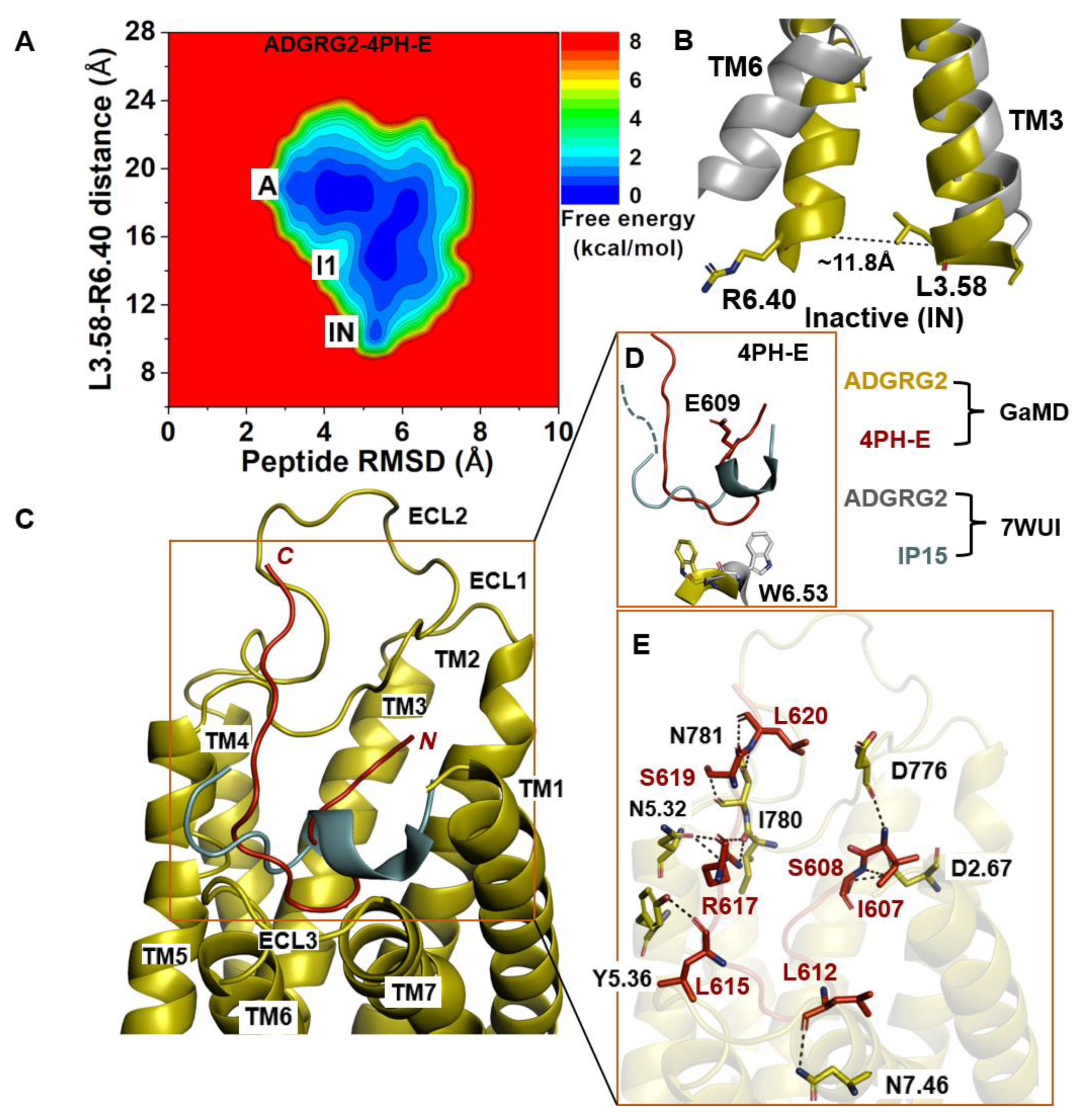 Molecules 29 00164 g003
