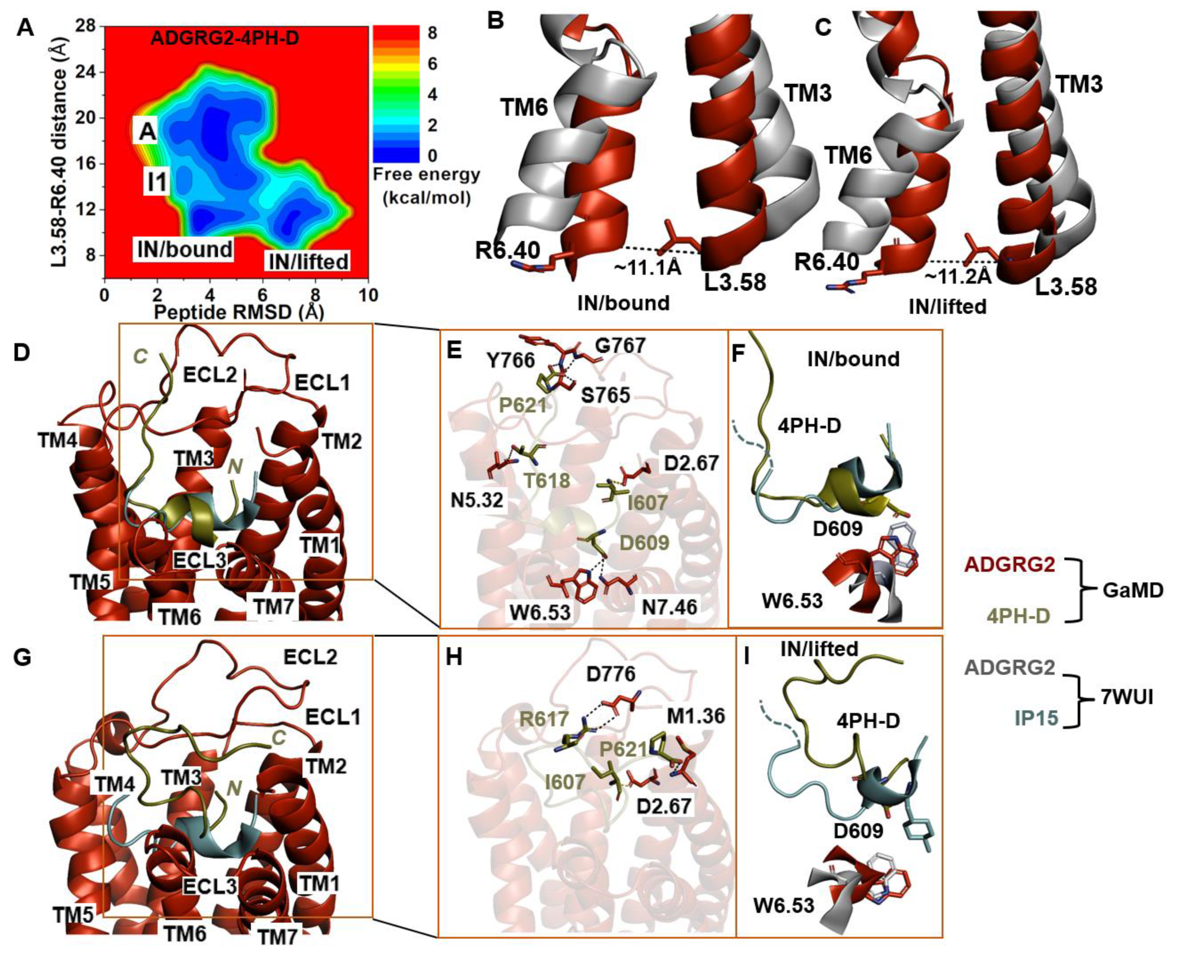 Molecules 29 00164 g004